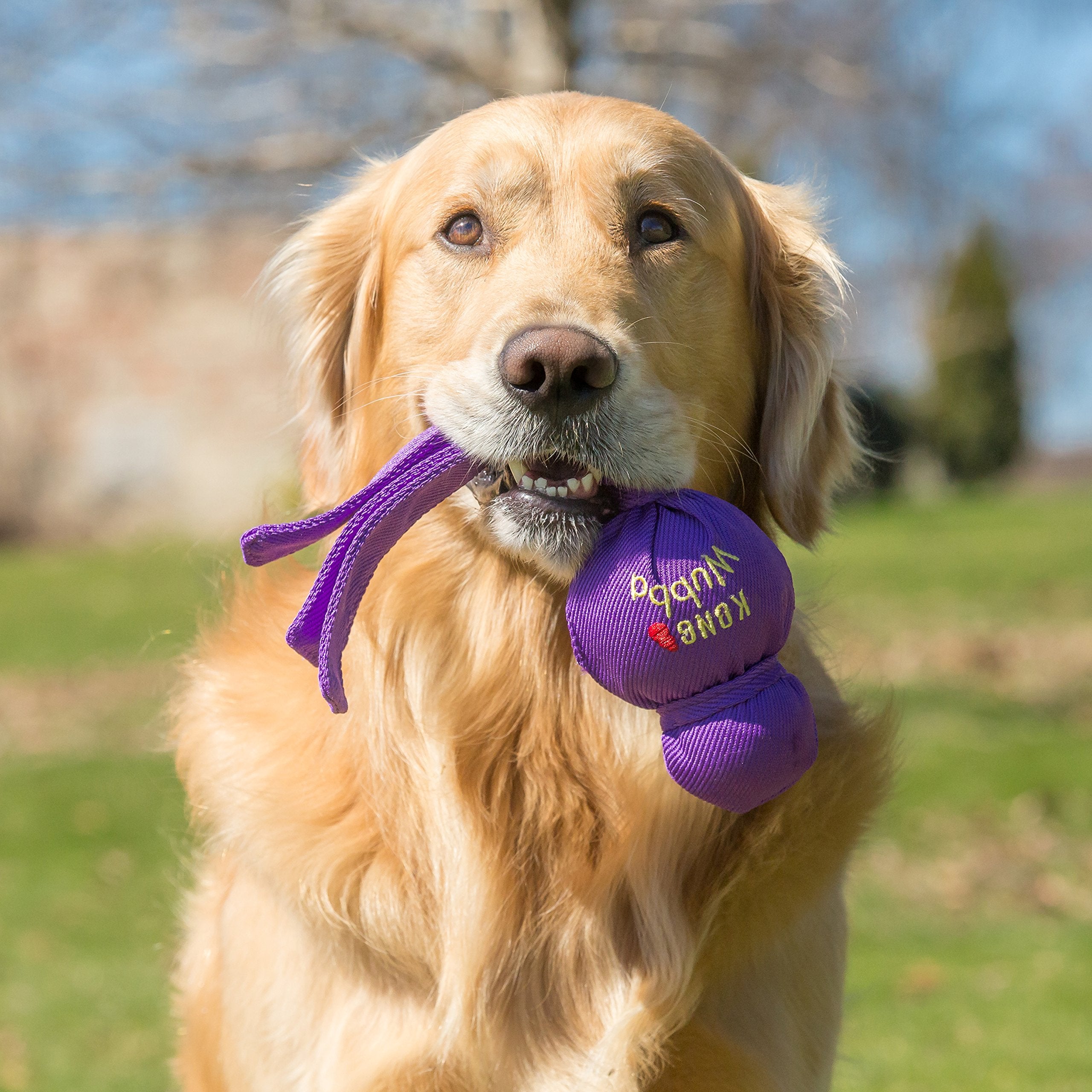 Kong Wubba - Dog Toy For Tug Of War & Fetch - Dog Supplies For Puppy & Dog Playtime - Outdoor & Indoor Dog Toy - For Large Dogs