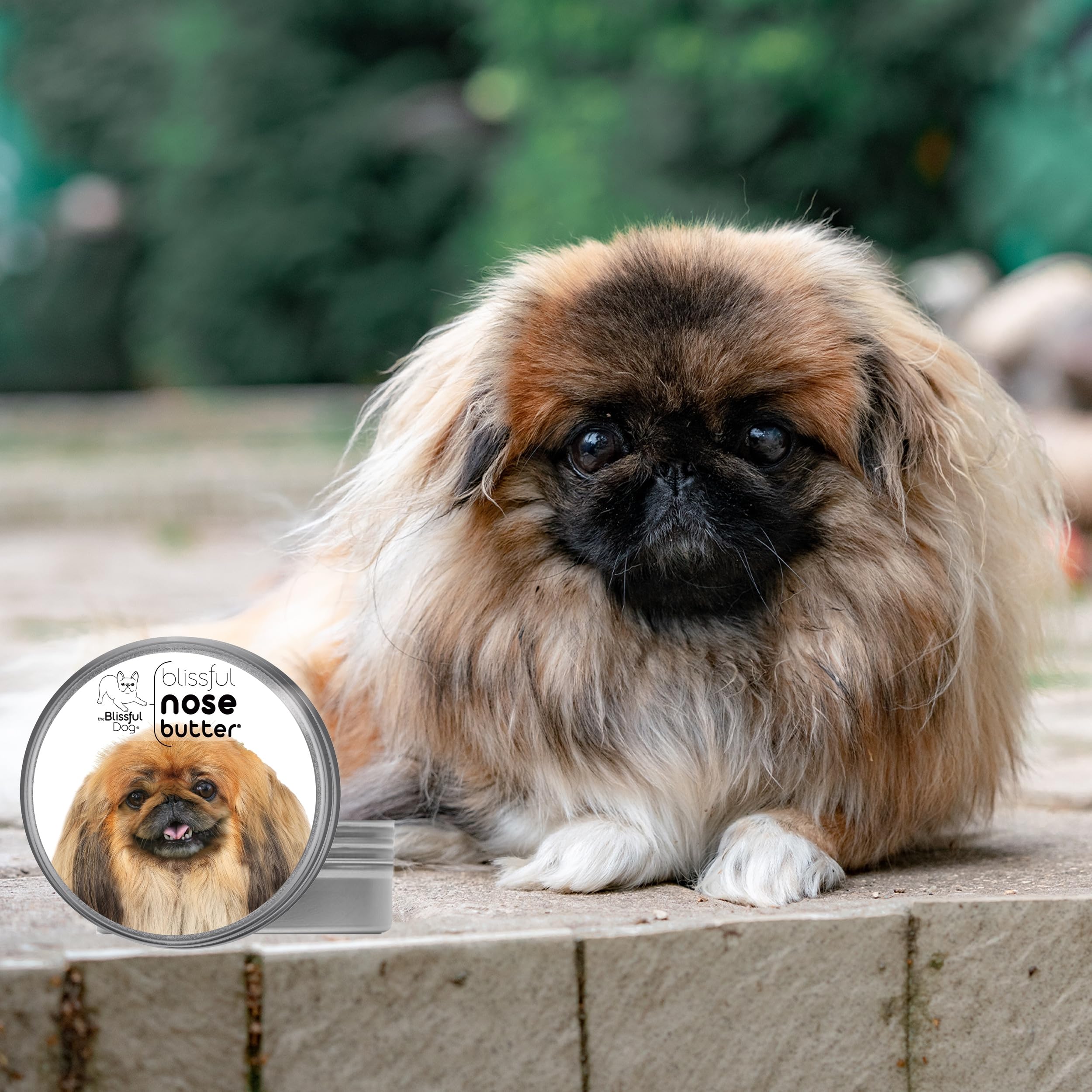The Blissful Dog Pekingese Unscented Nose Butter - Dog Nose Butter, 4 Ounce