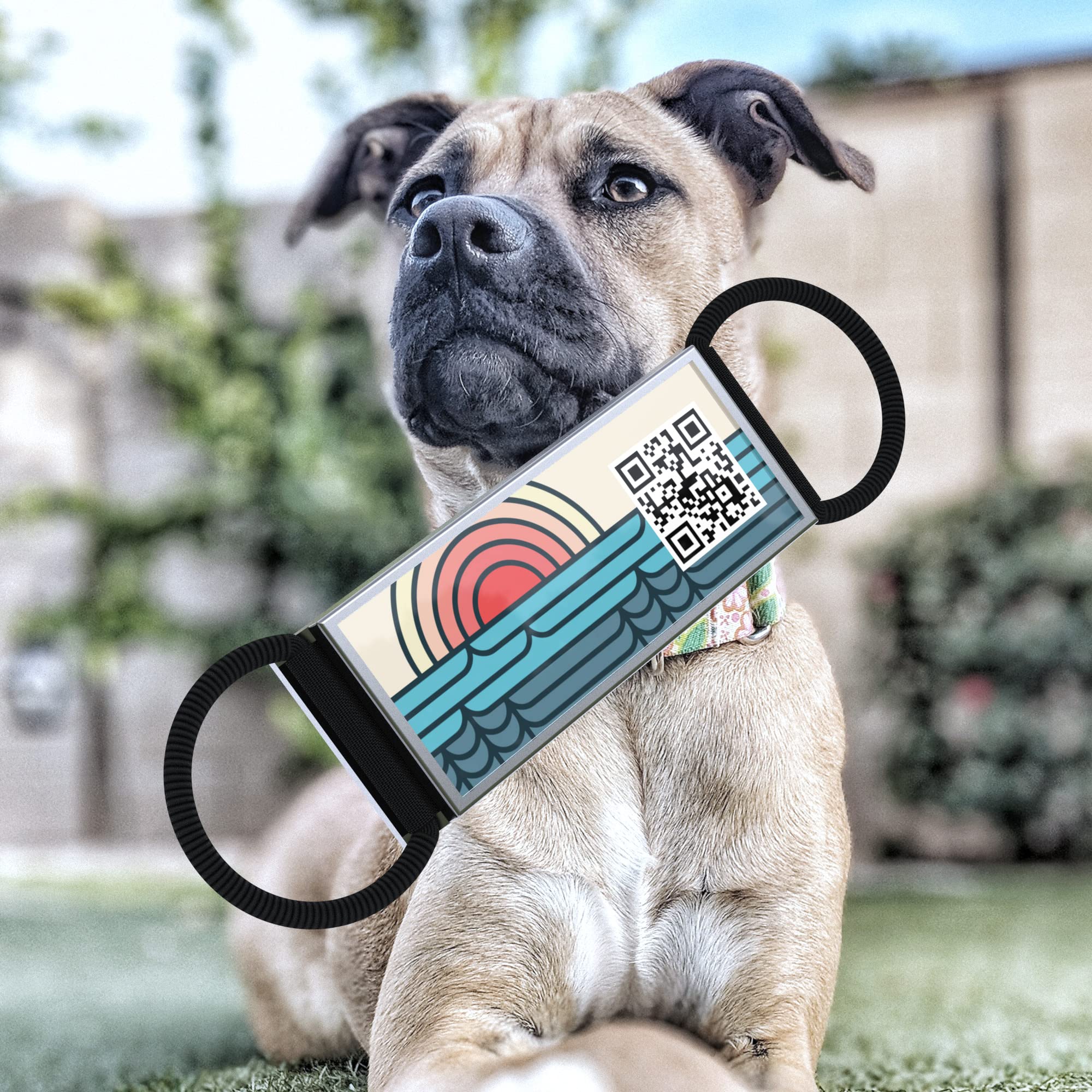 Kekid Personalized Qr Code Pet Id Tags - Custom Dog & Cat Names, Free Online&Scan Qr Receive Instant Location Alert Email