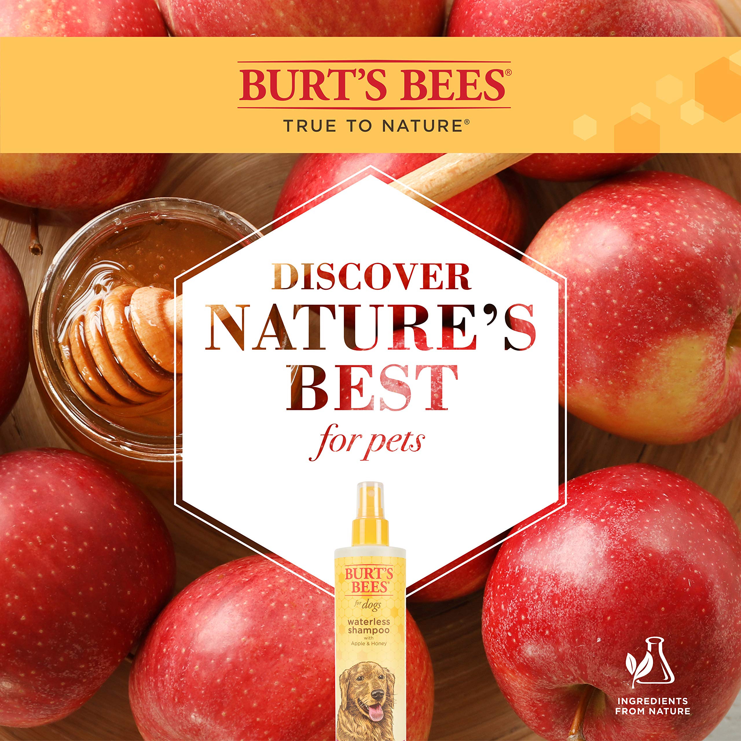 Burt's Bees Waterless Dog Shampoo Spray - Natural Apple & Honey, 10 oz - 3 Pack, Cruelty-Free, Sulfate & Paraben Free, Made in USA