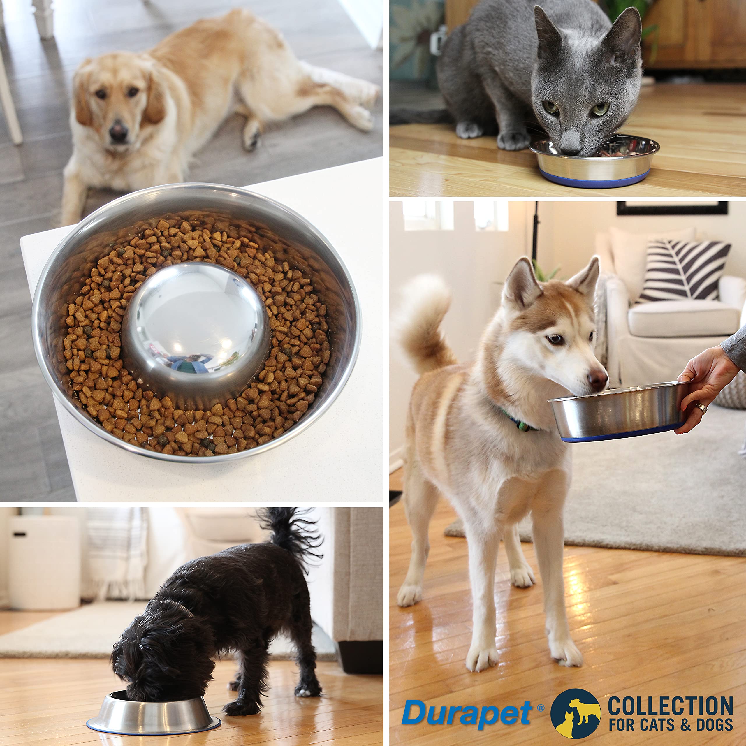 Ourpet'S Durapet Stainless Steel Bowl, 5 Cups, 6.9''X6.9''X2.5''