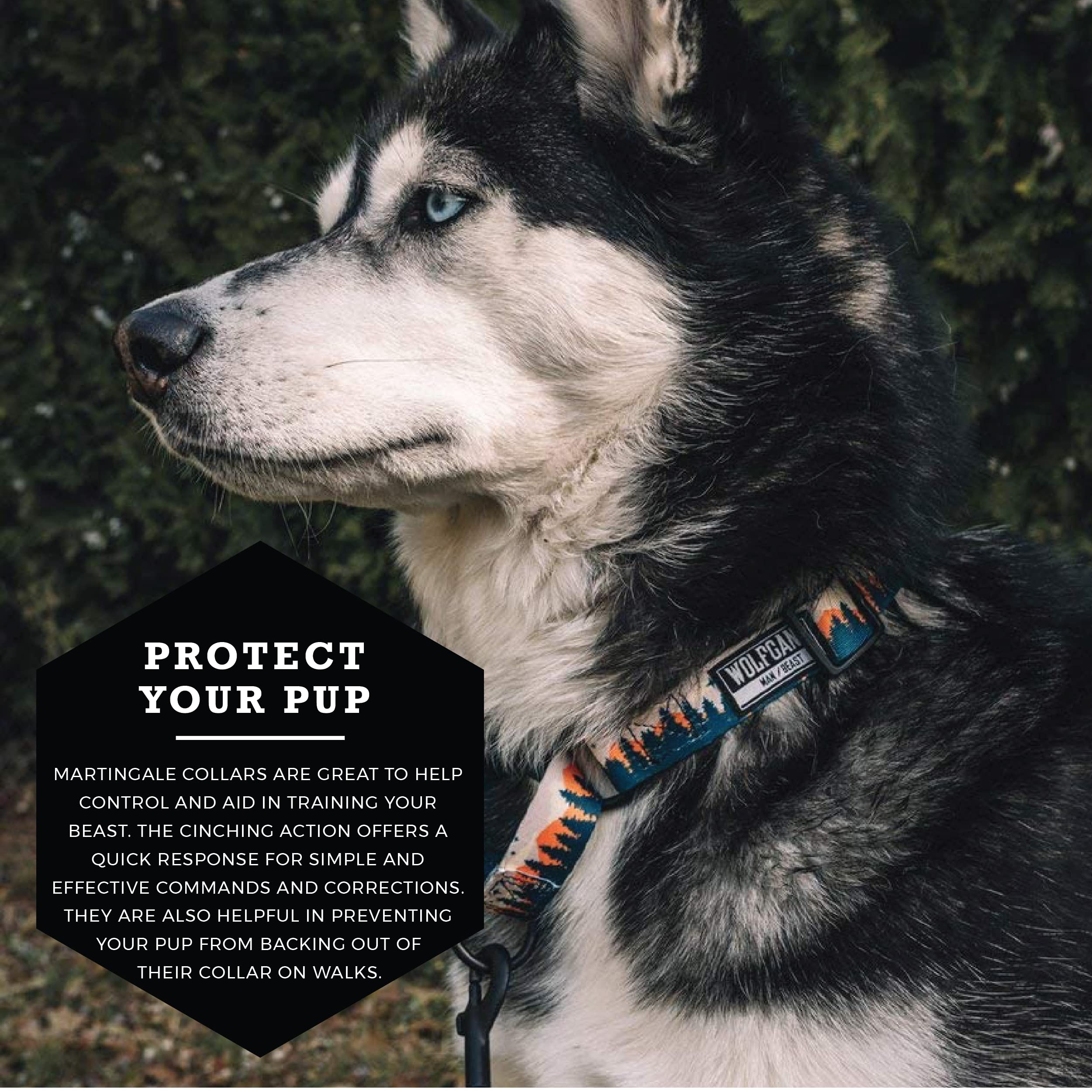 Wolfgang Heavy Duty Martingale Dog Collar With Quick Release Nylon Buckle For Walking & Training, Overland Print, Medium