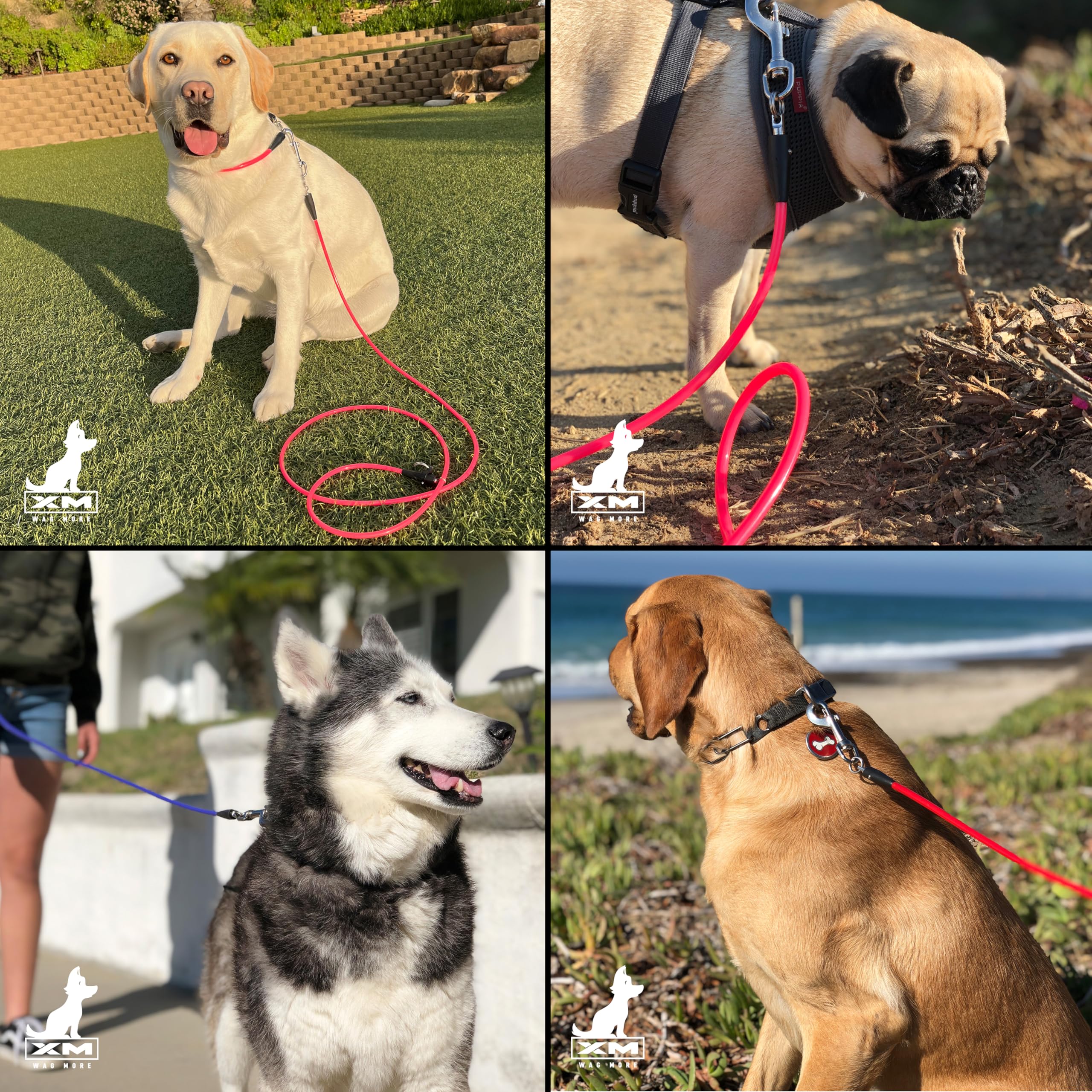Xm | Wag More Custom Premium Dog Leash, Water Proof Dog Leash, Accessory Compatible, Odor Proof, Multifunction Adjustable Quick