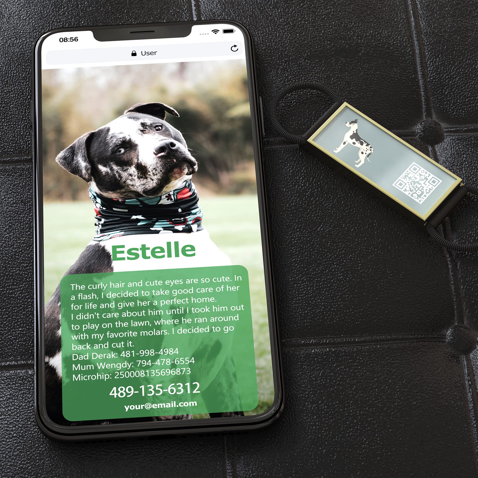 Disontag Qr Code Dog Tags Personalized Dog Tags, Slide-On Dog Id Tag Custom Dog Pet Tags, Online Pet Page Prevent Lost/Modifiable Great Dane Gifts
