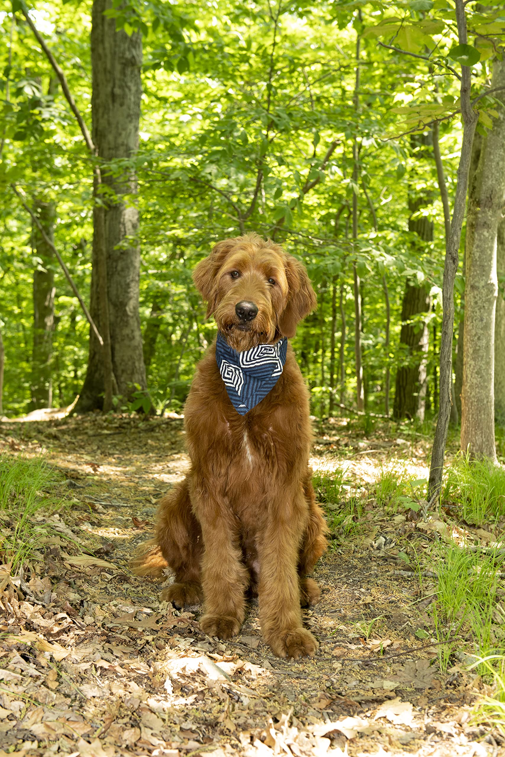 Dog Gone Smart Pet Products Unbugz-It Bandana, X-Large, Square Red (16'' X 10'')