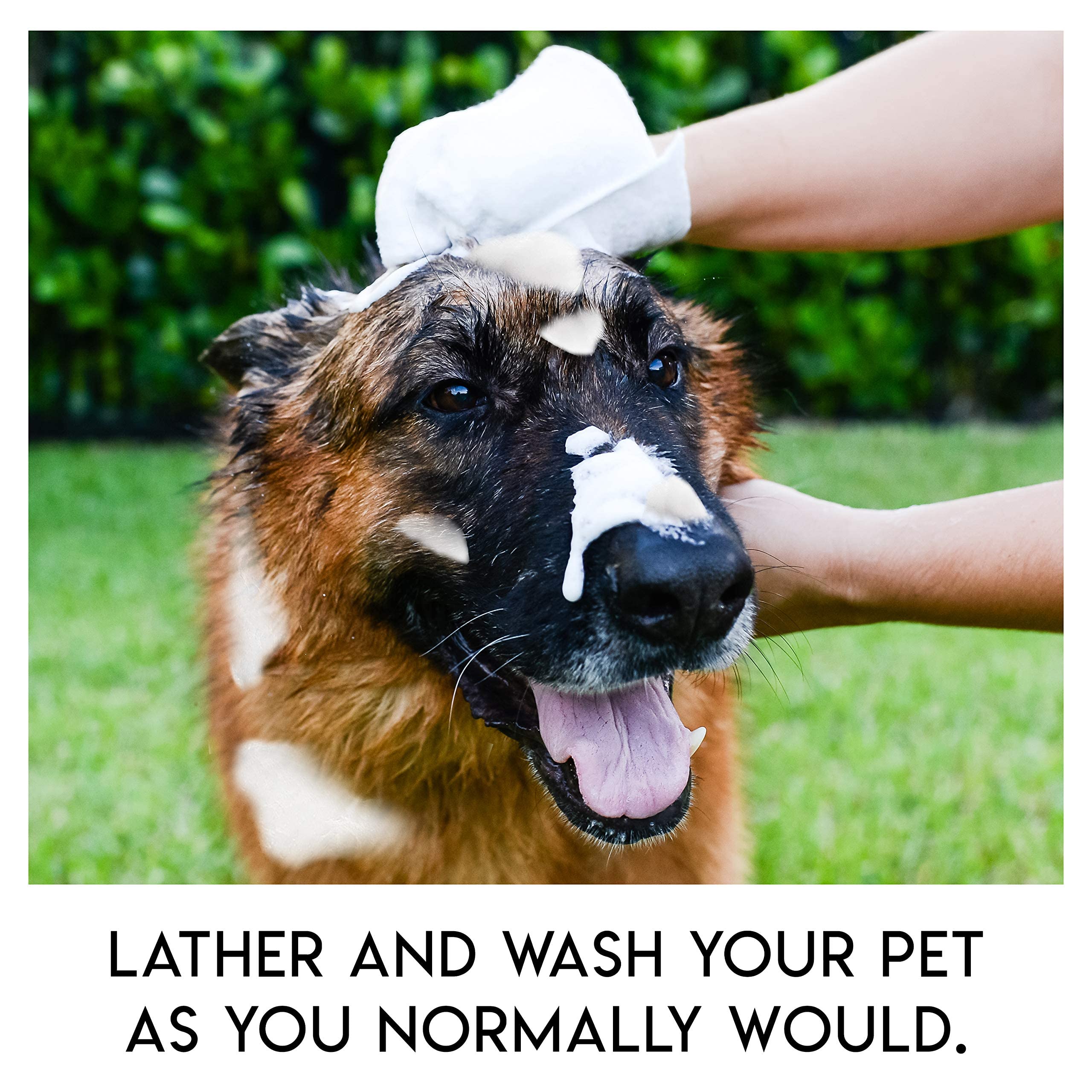 Scrubby Pet Wipes | Rinse Free Shampoo Mittens for Dogs & Cats | 5-Count | Hypoallergenic Bathing Solution