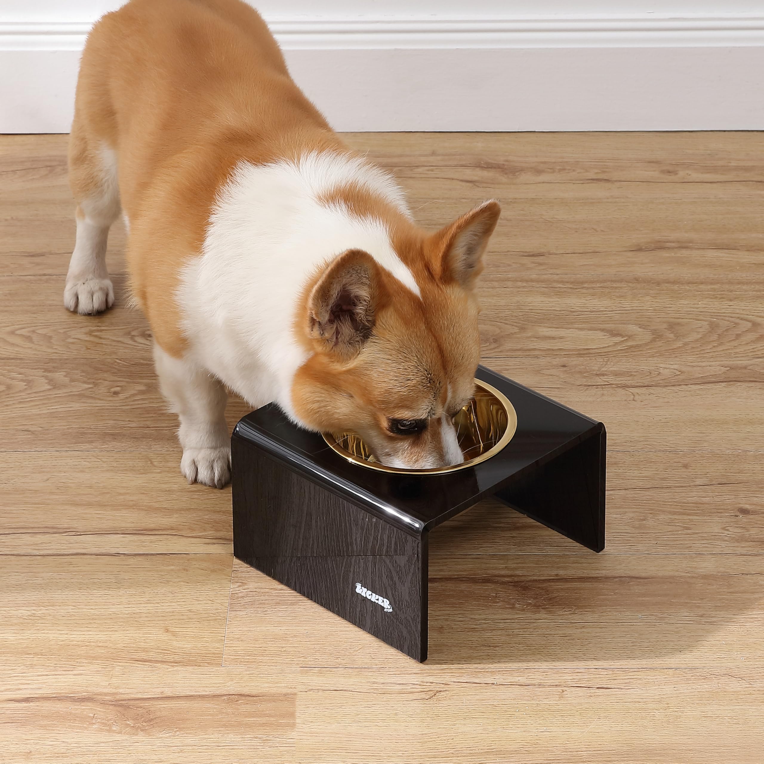 The LICKER Store DBL2002B Keaton 5 Small/Medium Modern Acrylic Rectangular Elevated Pet Feeder with 20oz 1-Stainless Steel Bowl,