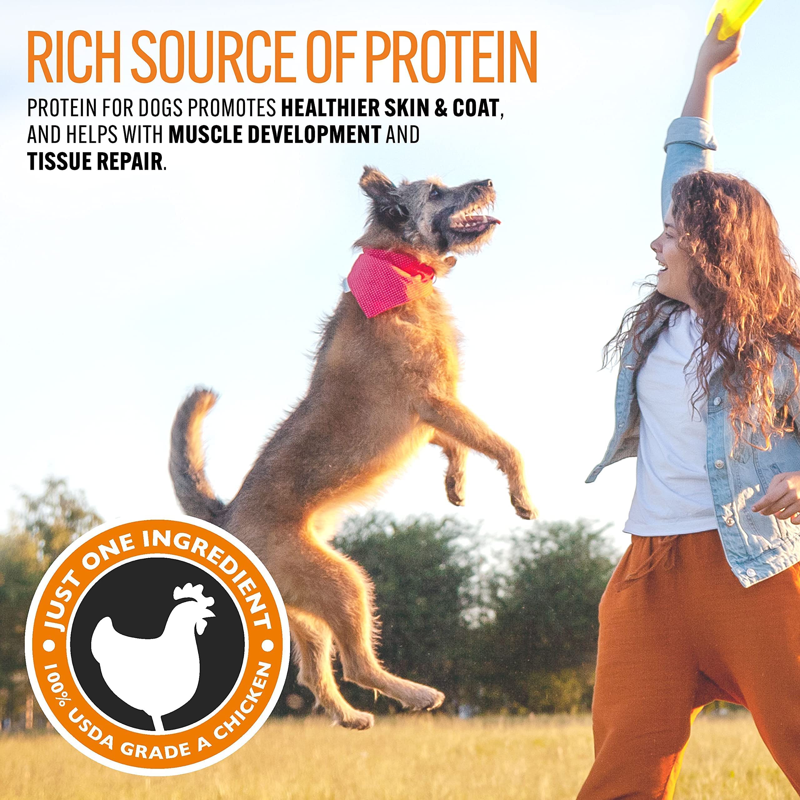 EBPP Chicken Jerky Dog Treats Made in USA - 100% Natural Jerky Treats Made with Real Chicken - Grilled Chicken Strips for Medium