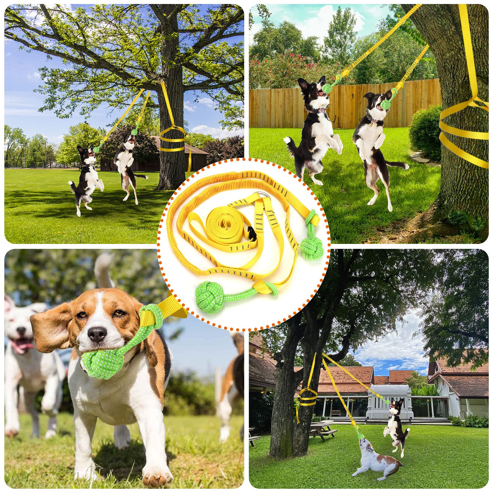 Dog Hanging Bungee Tug Toy for Two Dogs: Interactive Tether Tug-of-War for Pitbull & Small to Large Dogs to Exercise - Durable R