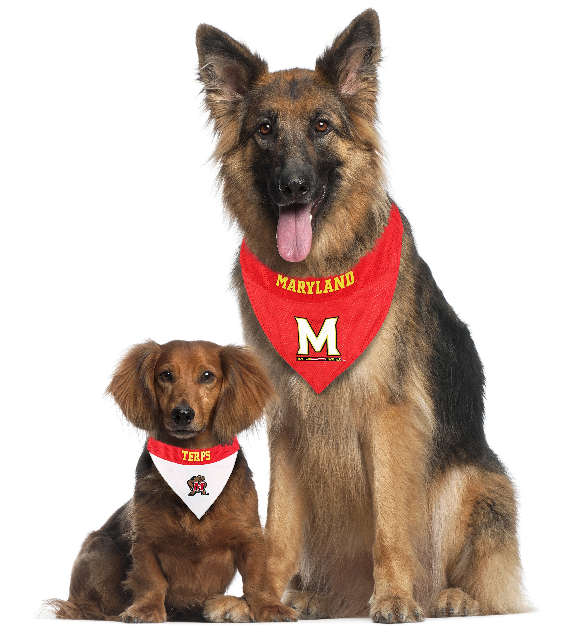 Pets First Collegiate Pet Accessories, Reversible Bandana, Maryland Terrapins, Large/X-Large