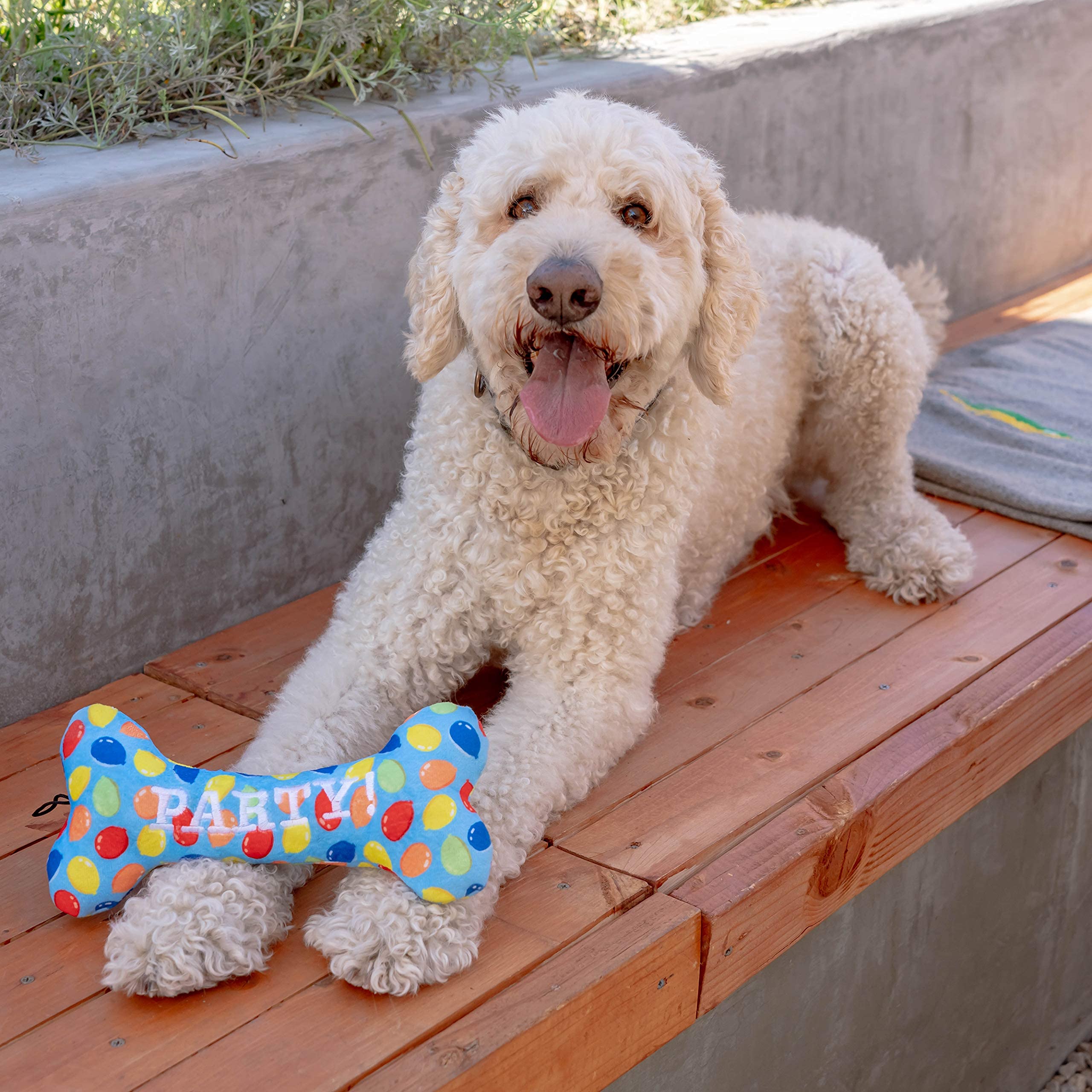 Huxley & Kent Party Time Blue Bone Birthday Power Plush Dog Toy With Squeaker (Large) | Funny And Cute H&K Squeaky Toy For Dogs