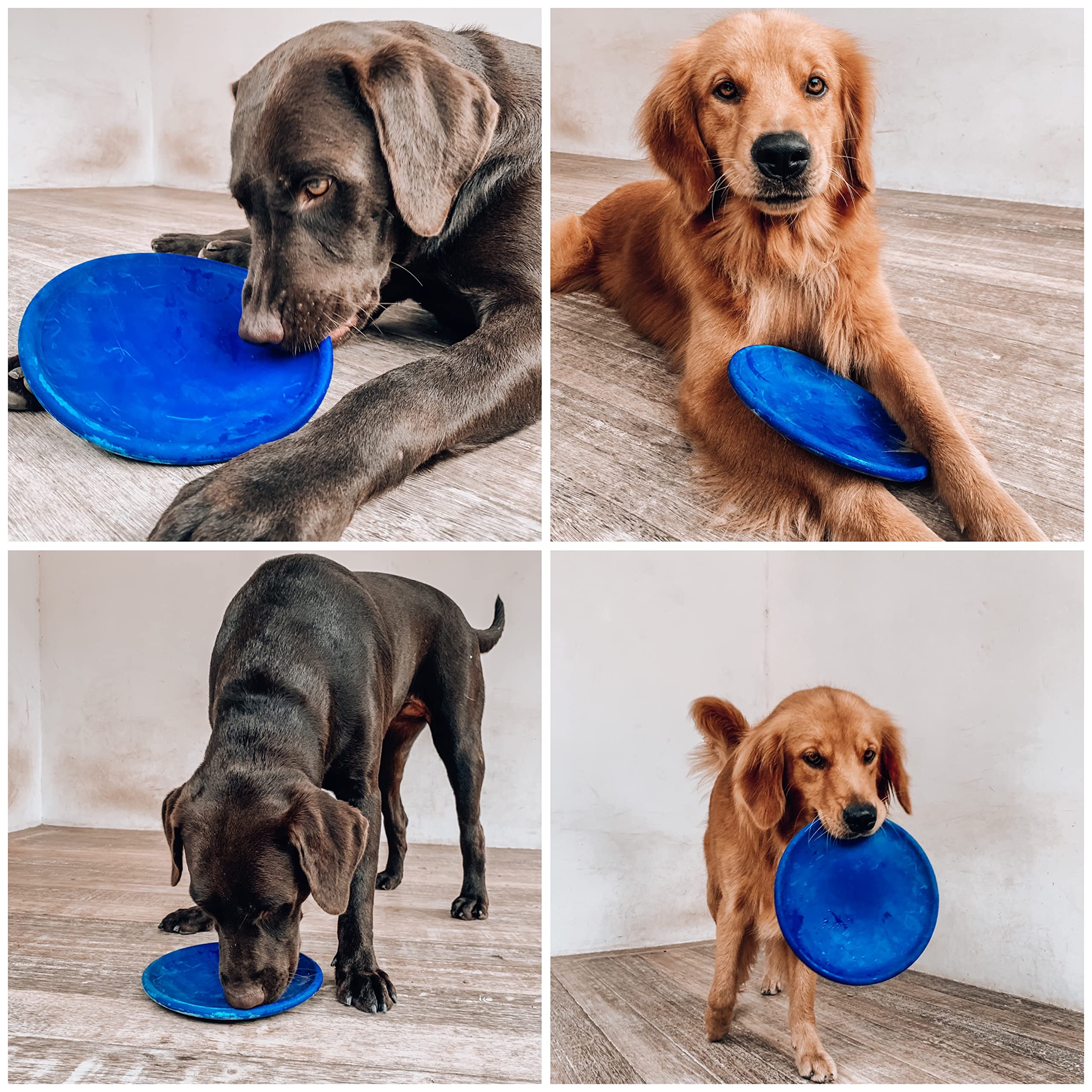 SuperChewy Tough Flying Disc Toy | Lifetime Replacement | Strong Natural Rubber | Great Dog Fetch Toys | Rubber Disc Toy for Dog