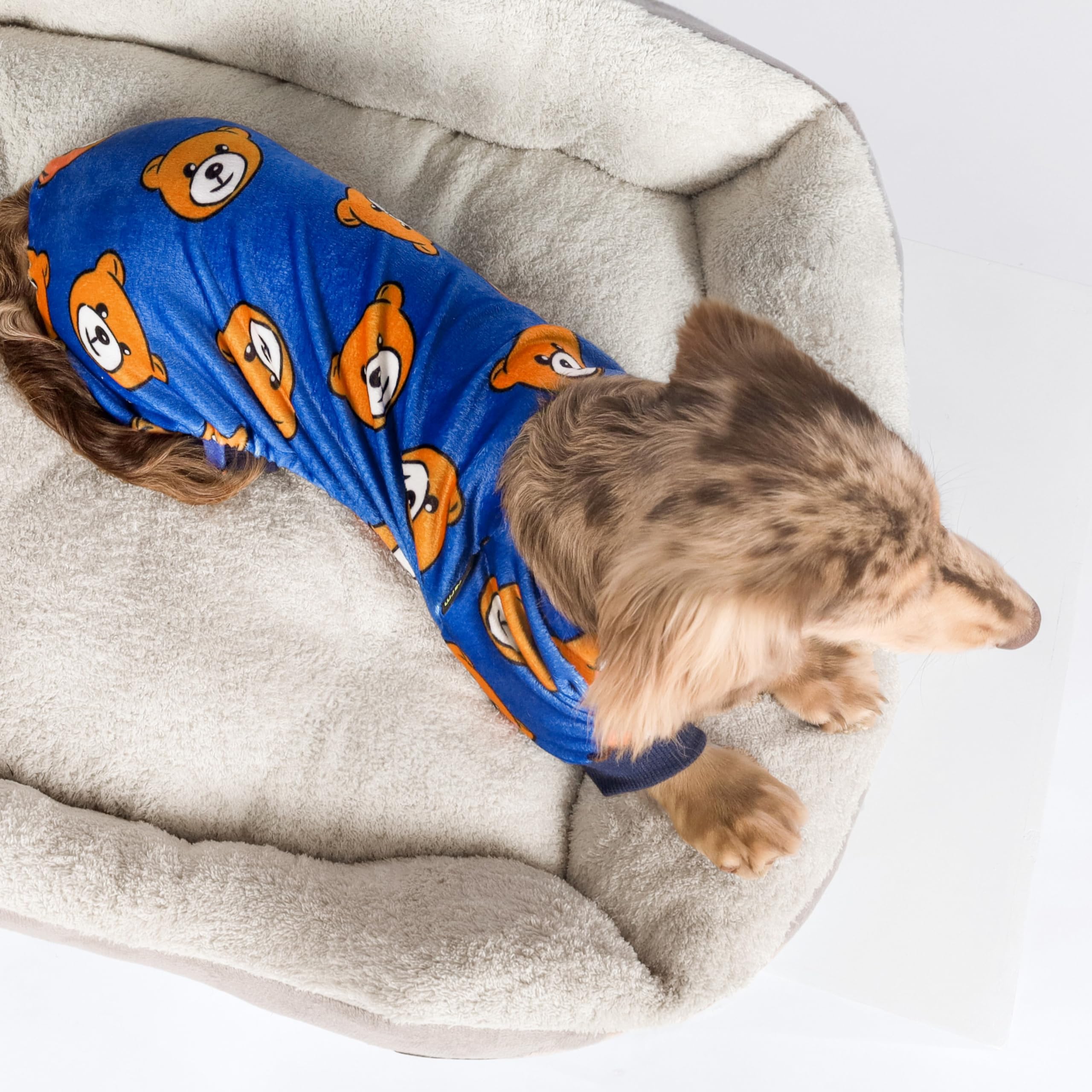 Fitwarm Cute Bear Dog Pajamas, Dog Clothes For Small Dogs Boy Girl, Fleece Pet Onesie With Feet, Royal Blue, Brown, Xl