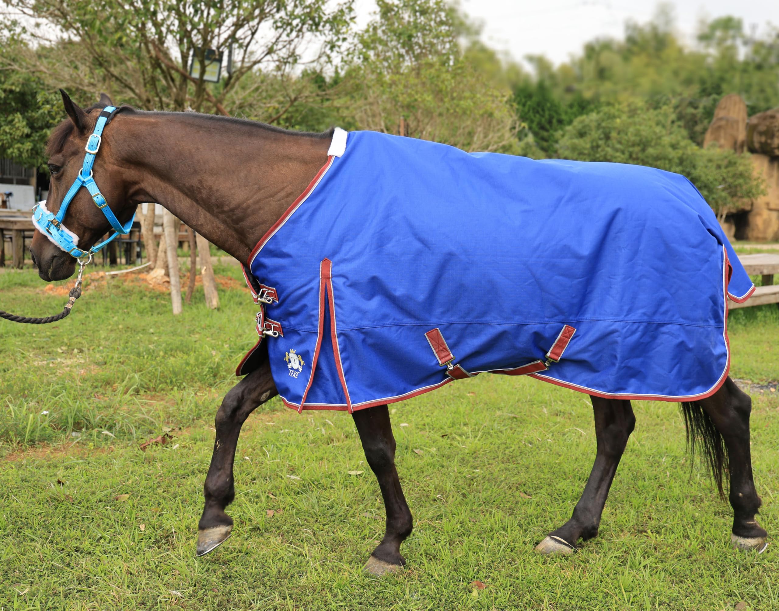 T Teke Deluxe Turnout Horse Blankets, 1200D Waterproof And Breathable Horse Care Blankets For Winter 200Gram Filling (51''-87''