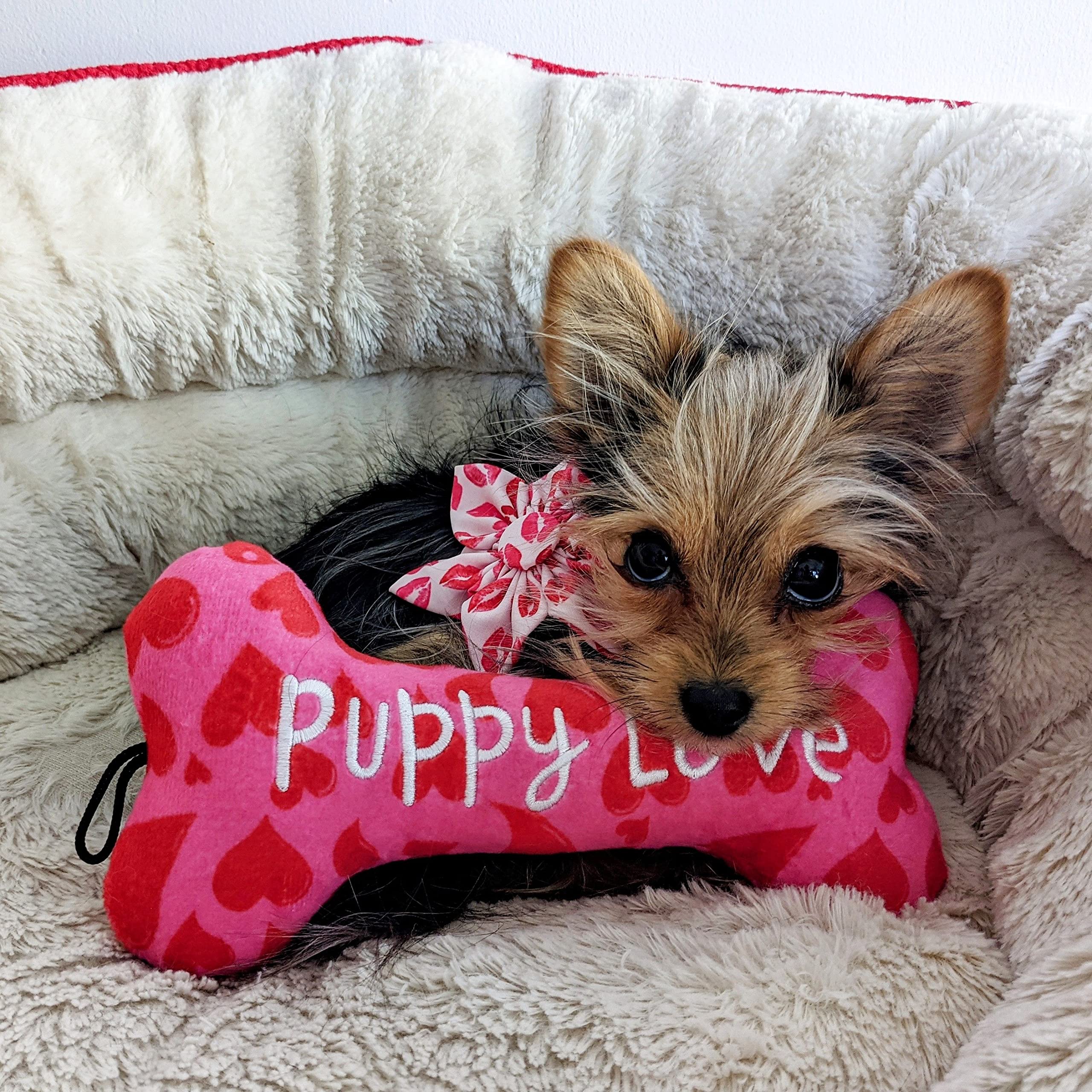Huxley & Kent For Dogs | My Puppy Love Bone (Small) | Valentine'S Day Funny Dog Toy | Power Plush Dog Toy With Squeaker | Dog Gi