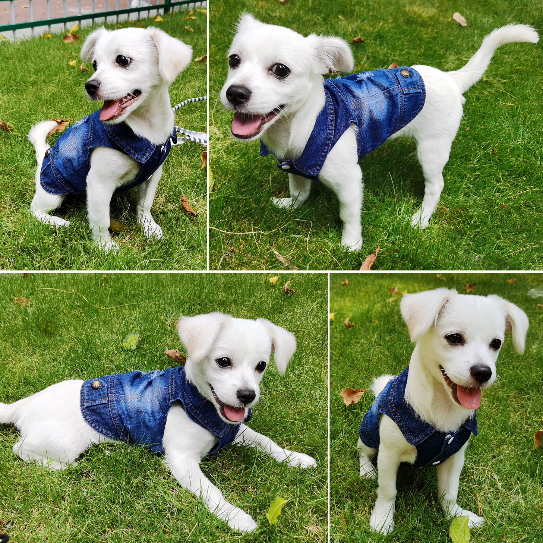 Strangefly Dog Jean Jacket, Blue Puppy Denim Clothes, Lapel Vests Vintage Pet Coat Apparel, Cool Classic Cowboy Dog Shirts Outfi