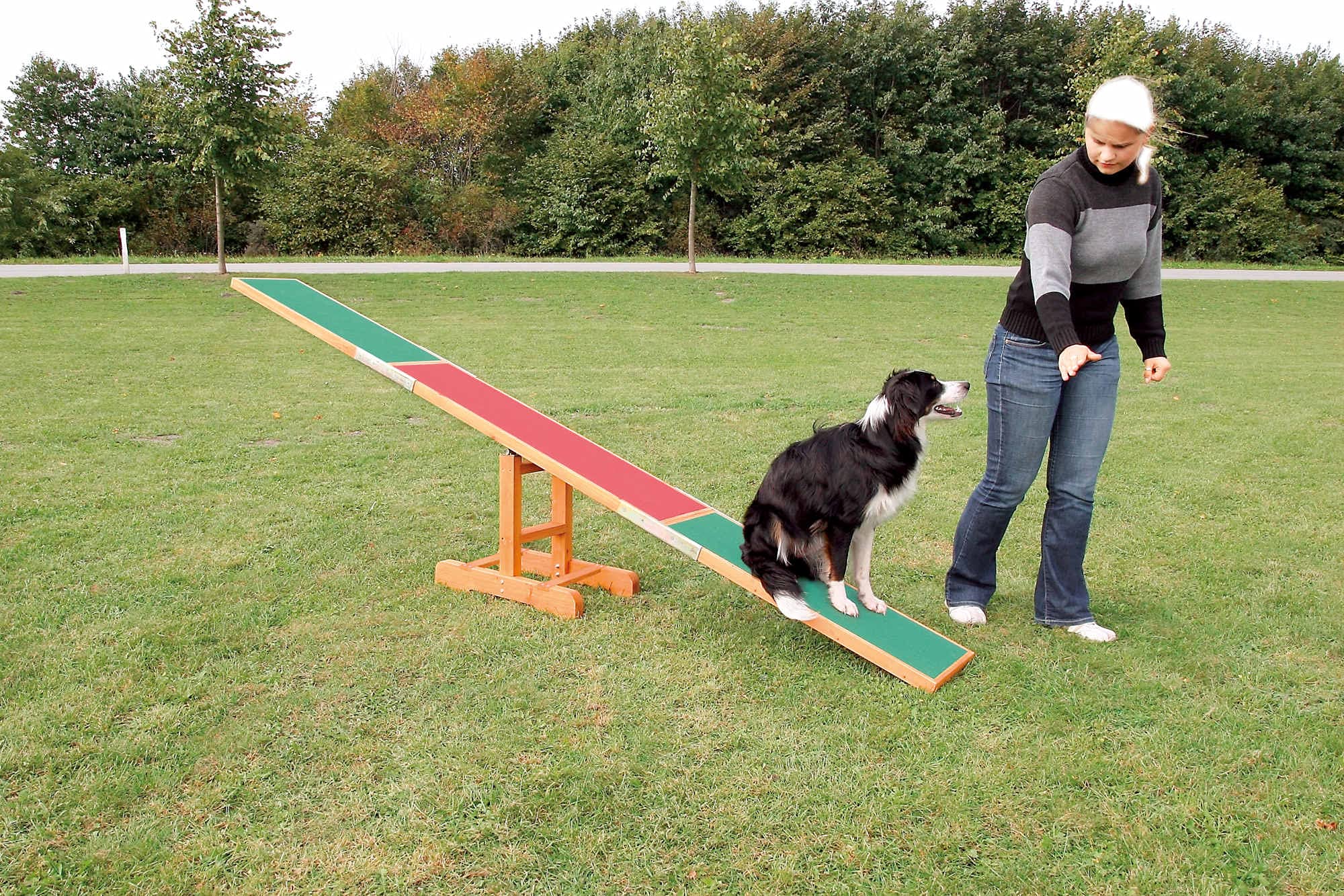 Trixie Dog Agility Seesaw, Canine Agility Training, Competition Seesaw, Teeter Set 300 × 54 × 34 Cm
