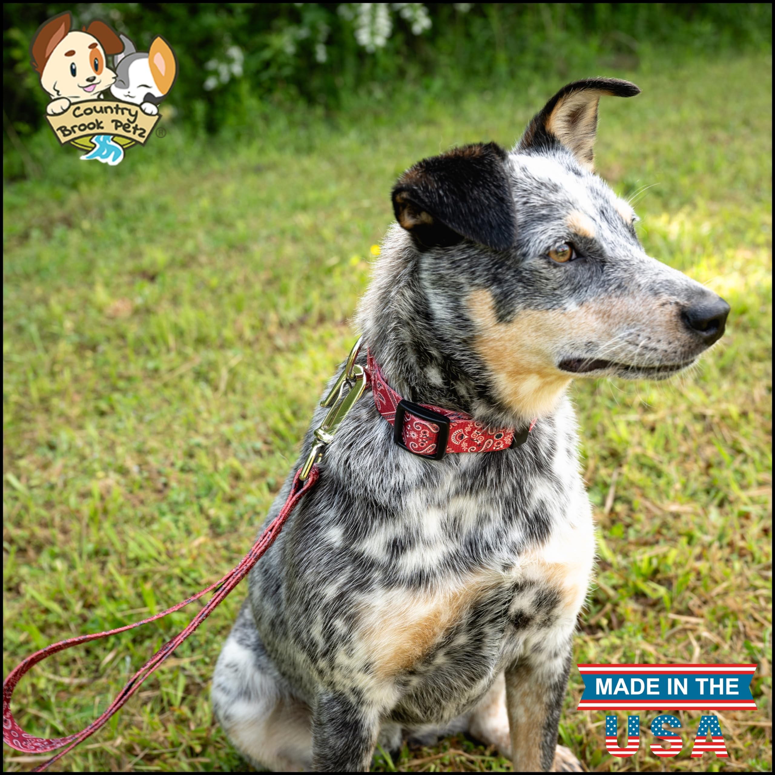 Country Brook Petz - Deluxe Red Bandana Dog Collar - Made In The U.S.A. - Country And Western Collection Featuring Rustic Design