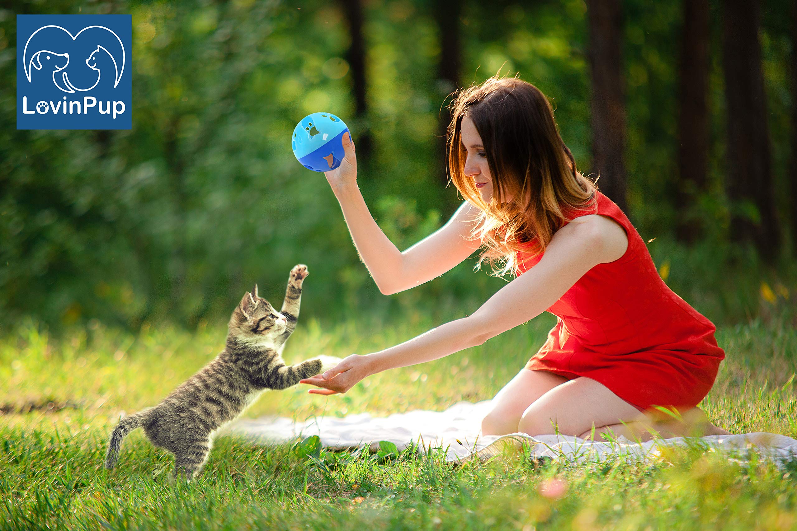 Lovinpup Cat Ball Toy With Bell Larger Size, Bells Jingle As Balls Roll, Cat Toy For Small Or Large Cats, Or Other Animals (Blue