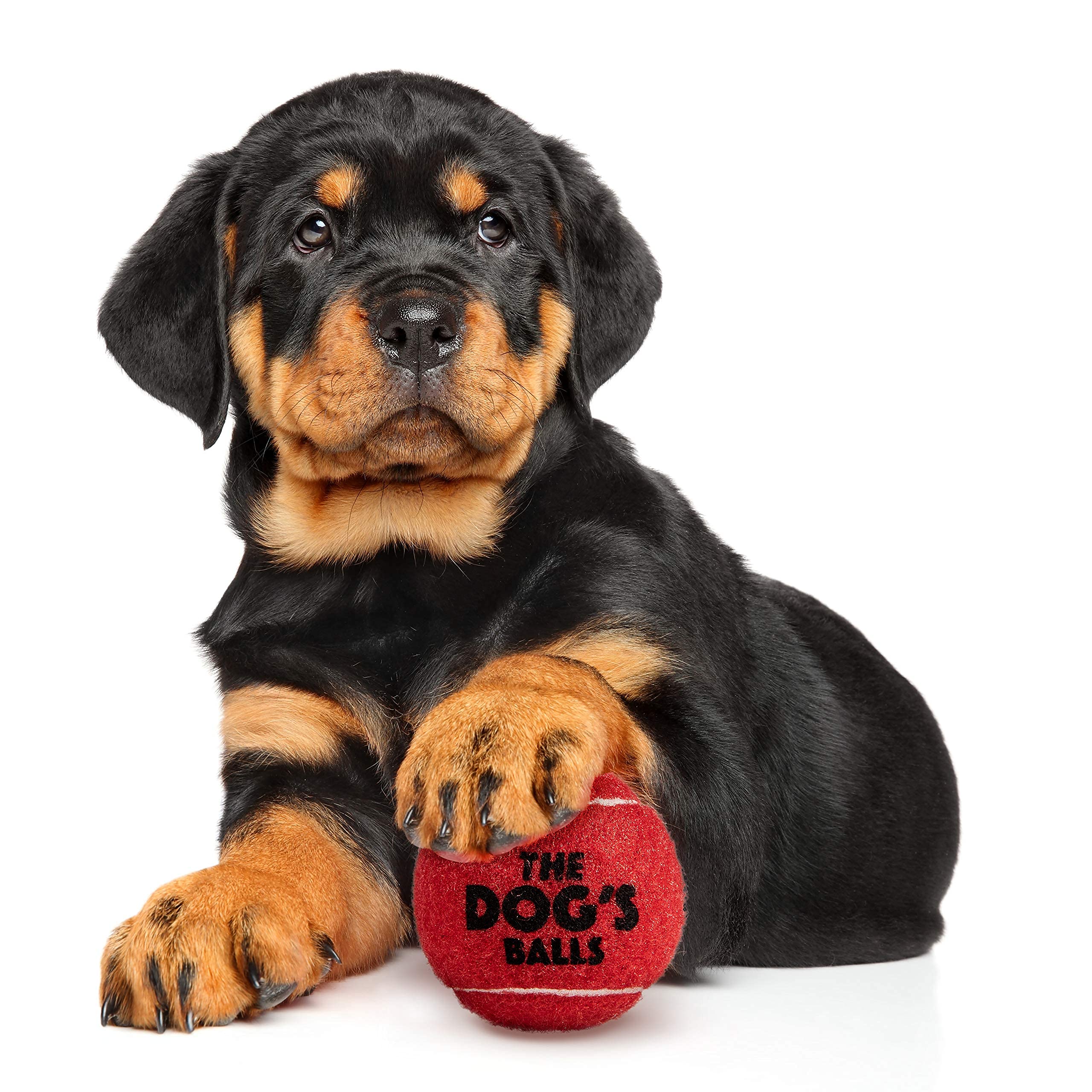 The Little Dog'S Balls, Dog Tennis Balls, 6-Pack Red Dog Toy, Strong Dog & Puppy Ball For Training, Play, Exercise & Fetch