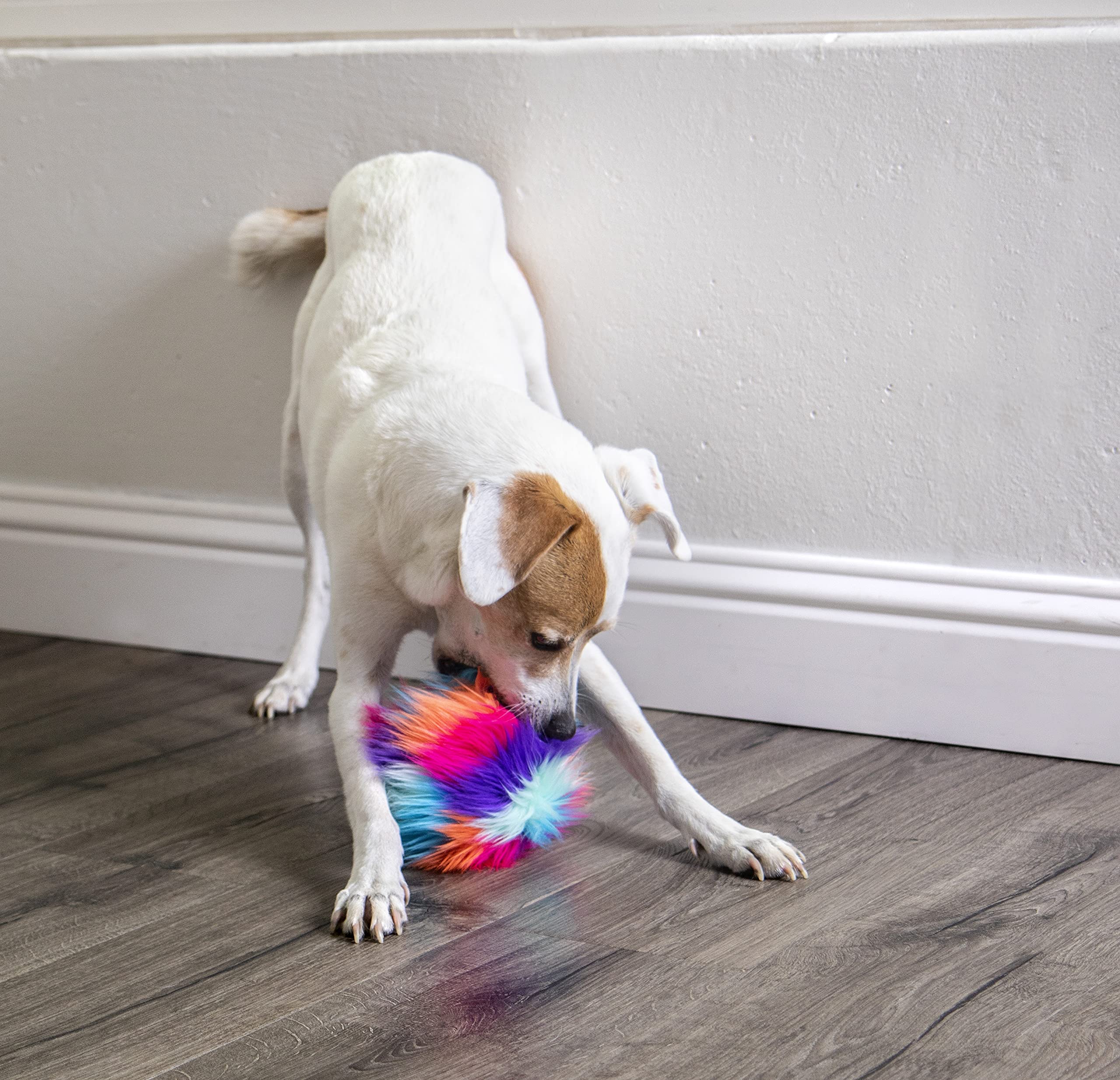 goDog Furballz Squeaky Plush Ball Dog Toy, Chew Guard Technology - Cool Rainbow, Small