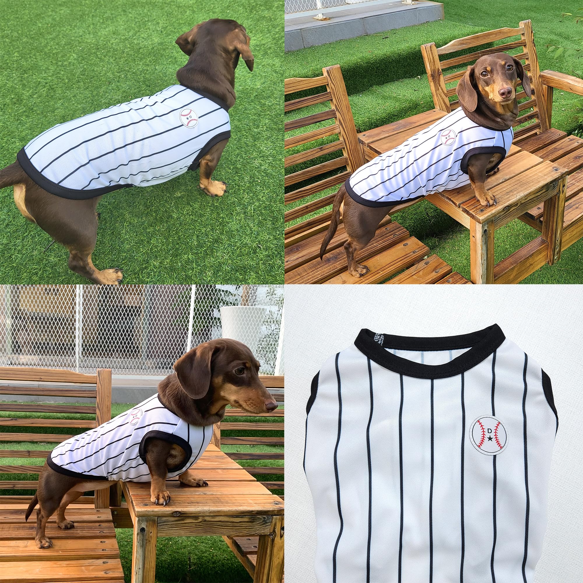 D Doggy Star Dachshund Clothes For Dogs Baseball Mini And Adults T Shirts (M,Baseball Black)