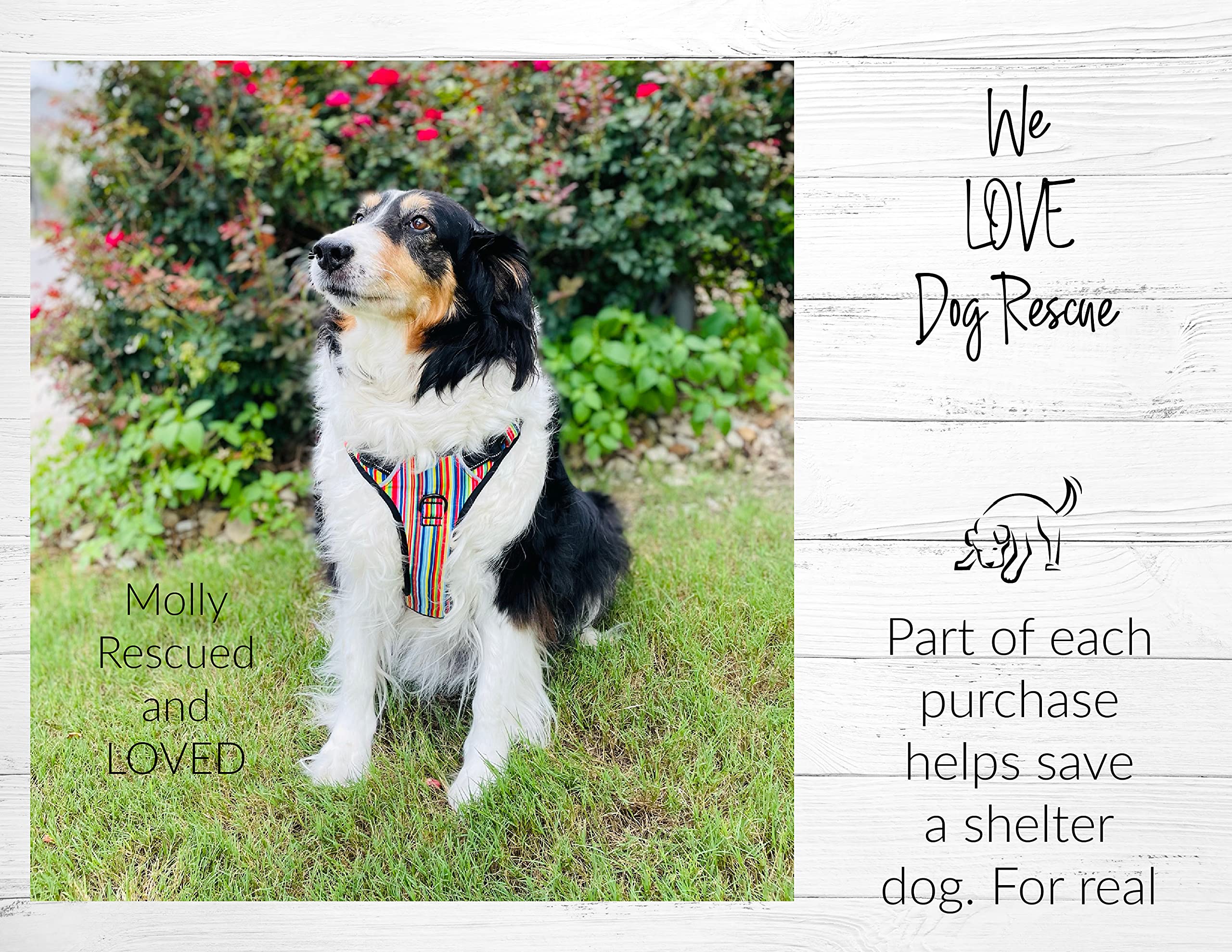 Lucky Love Dog No Pull Dog Harness, Adjustable and Easy to Walk, Cute Patterned Harness for Small Medium Large Male & Female Dog
