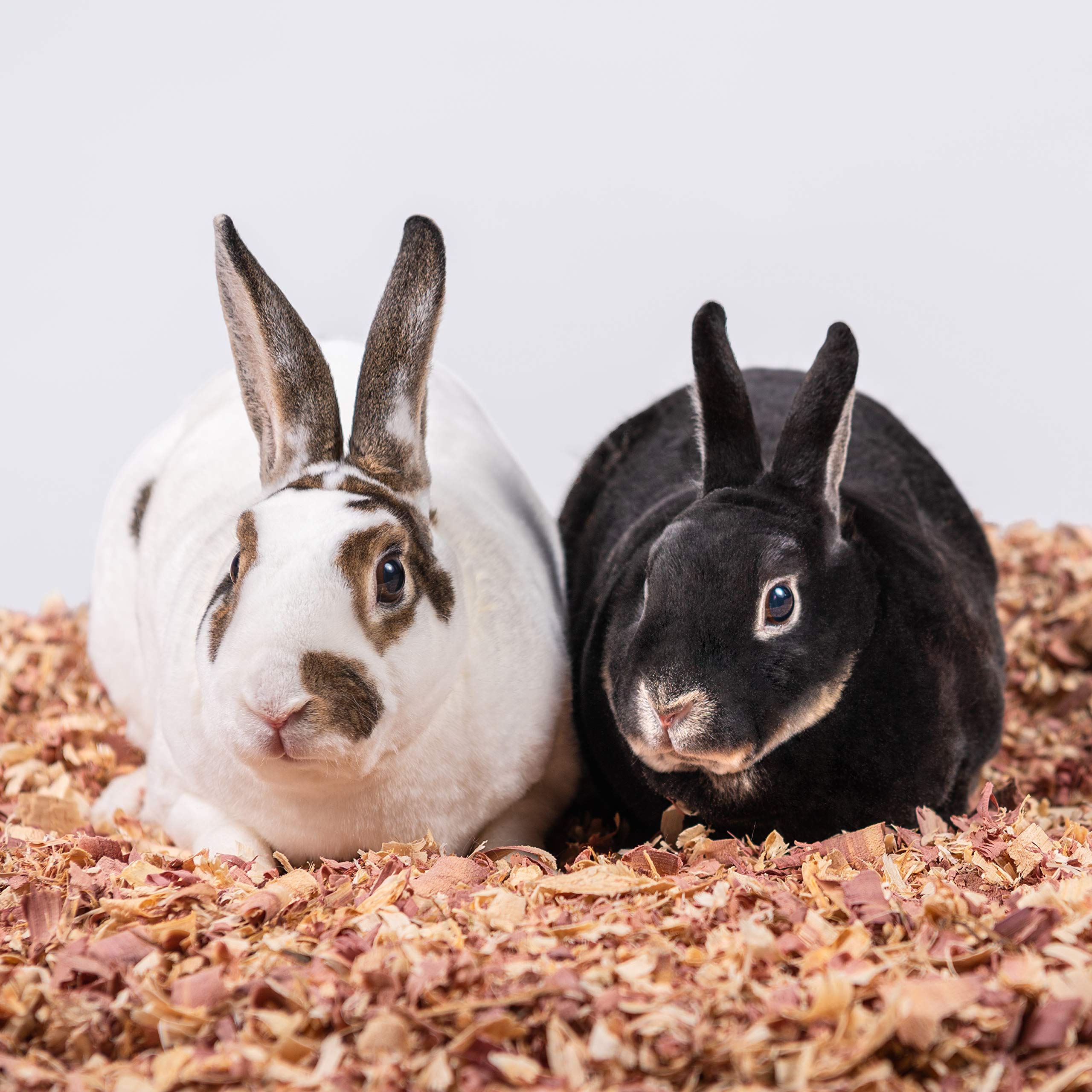 Petspick Red Cedar Pet Bedding For Dogs And Horses, 24L