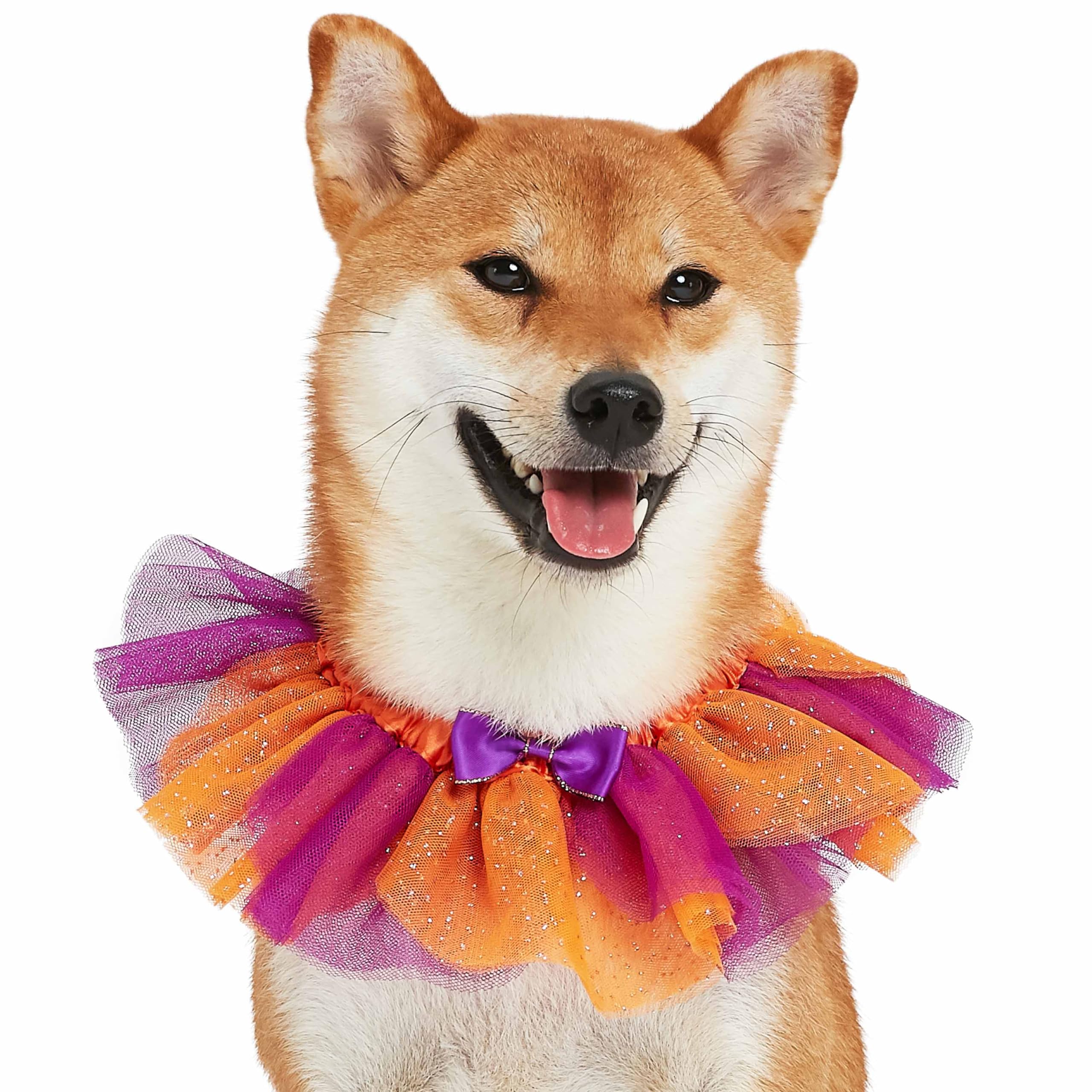 Blueberry Pet Halloween Party Adjustable Breakaway Costume Dog Collar In Warm Tone, Small
