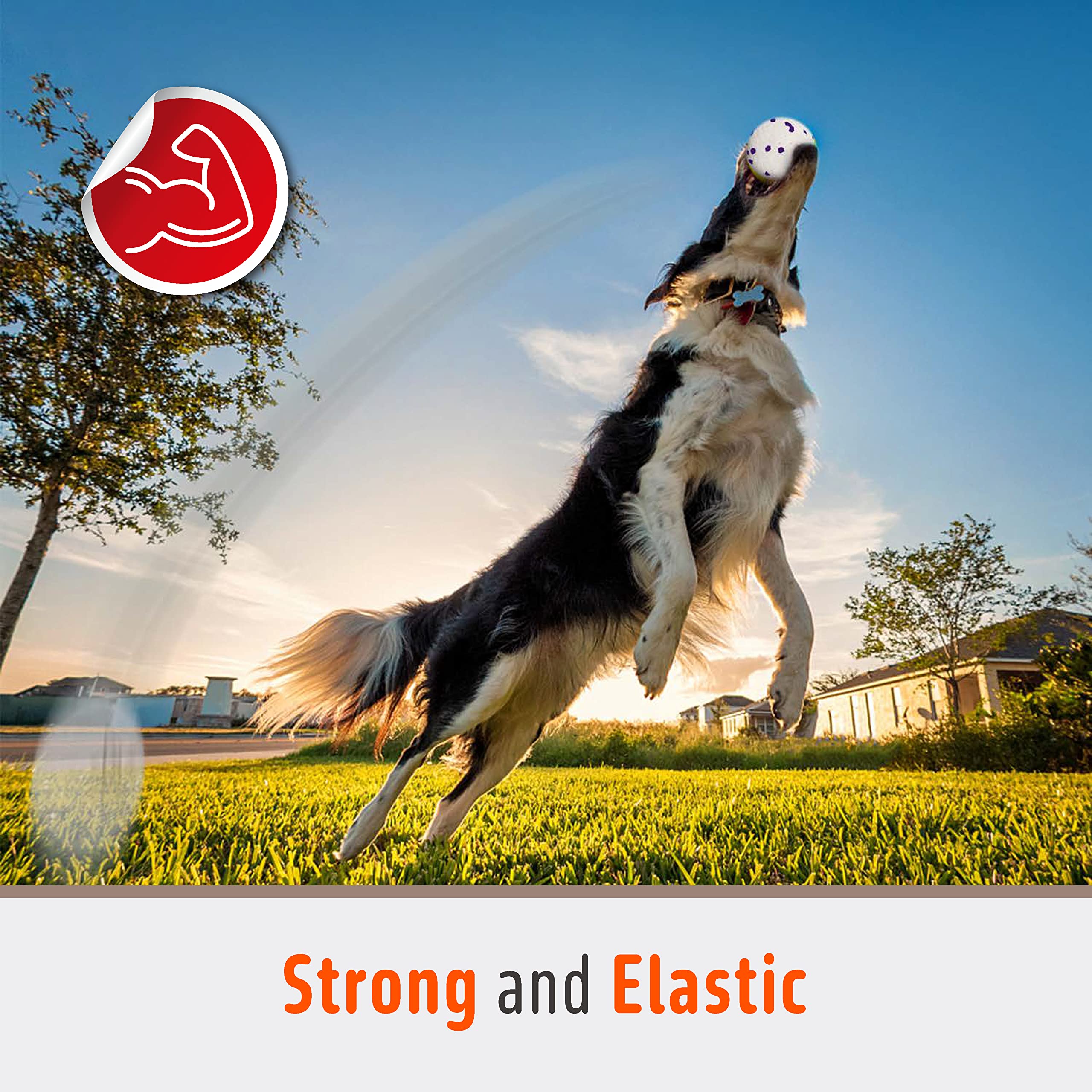 Fofos Dog Balls Chew Toys Tennis Ball For Aggressive Chewers Teething Molar Toys Water Toy Interactive Fetch Balls Gift Set For