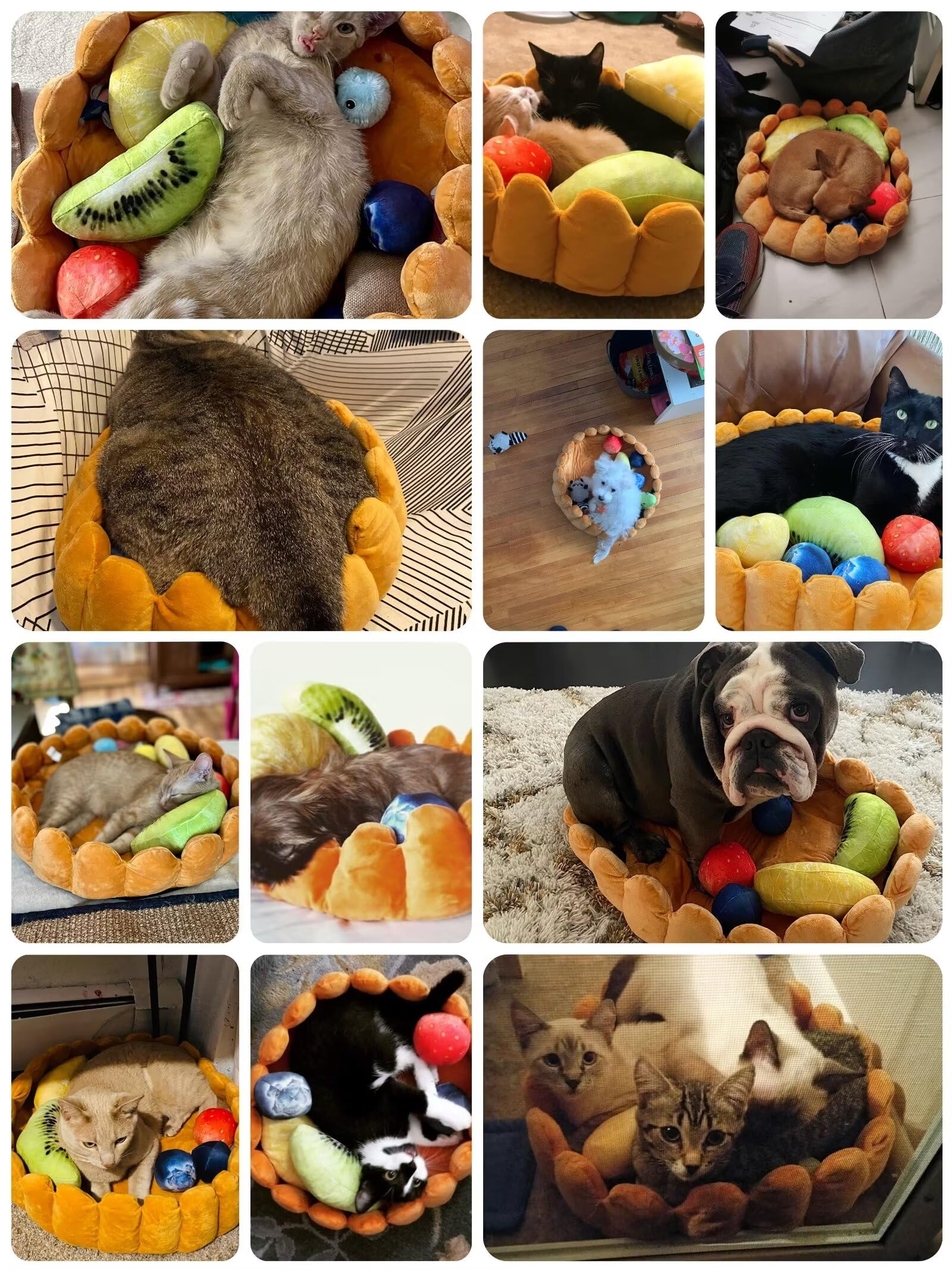 S-Lifeeling Fashion Pet Cushion Bed Detachable Updated Version Winter Plush Nest Kennel Lovely Tart Warm Comfortable Extended Dog Mat Pad Cat Mat (Tart-Large)