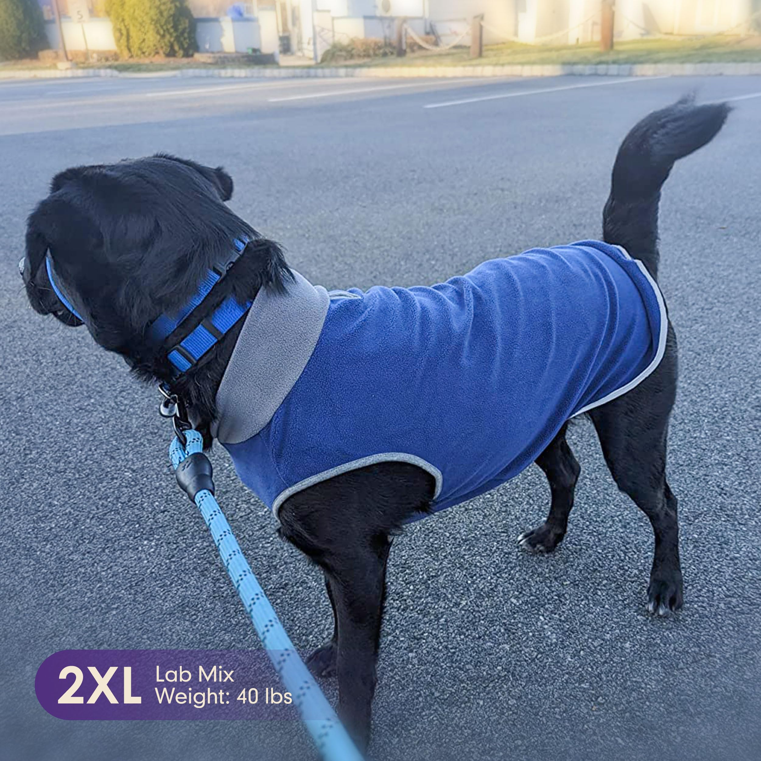 Cyeollo 2 Pack Dog Sweater Fleece Vest Pullover Sweatshirt Jacket Reflective Stretchy Lightweight Pet Clothes Cold Weather Coats