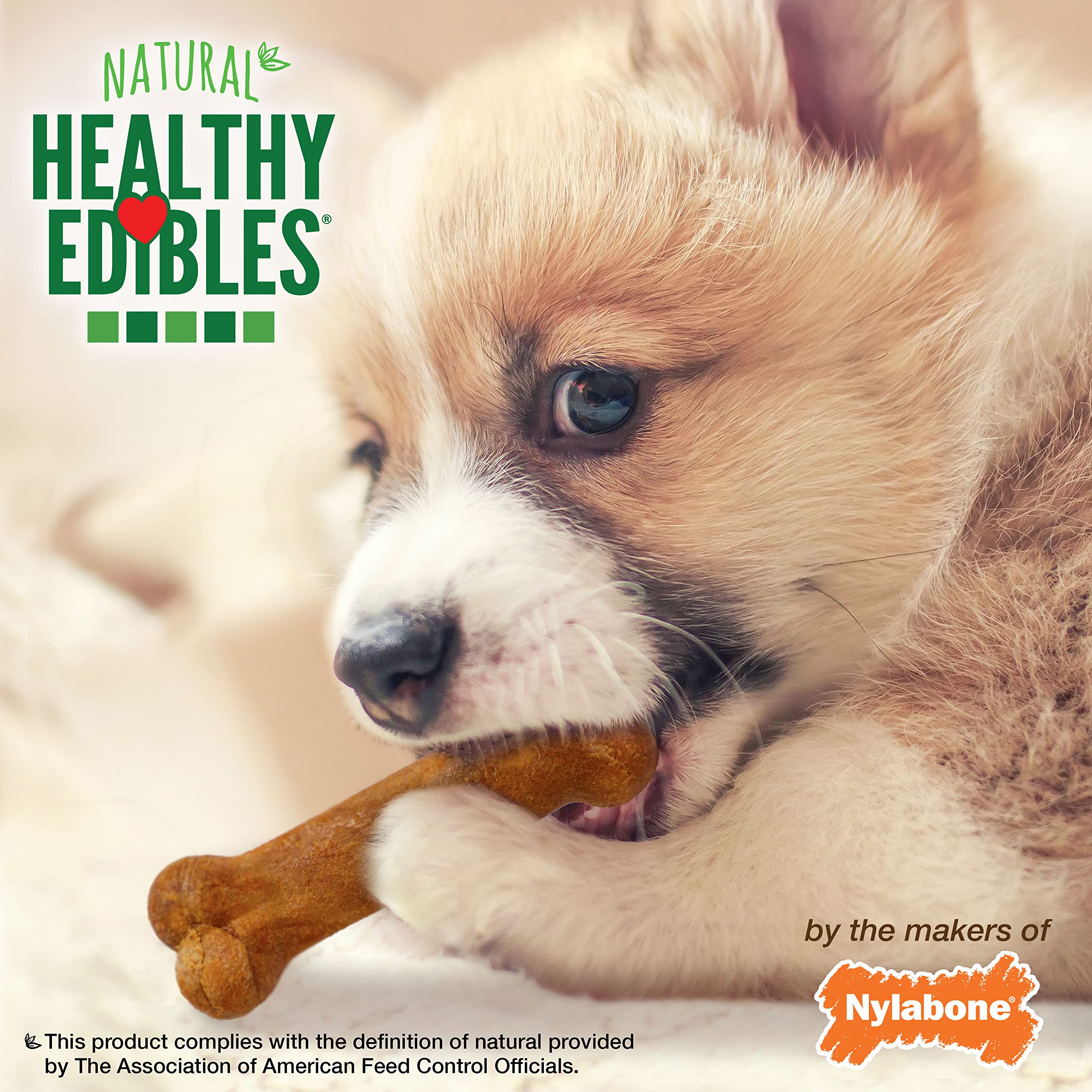 Nylabone Healthy Edibles Natural Puppy Chews Long Lasting Treats for Puppies, Turkey & Sweet Potato Flavor, X-Small/Petite (16 C