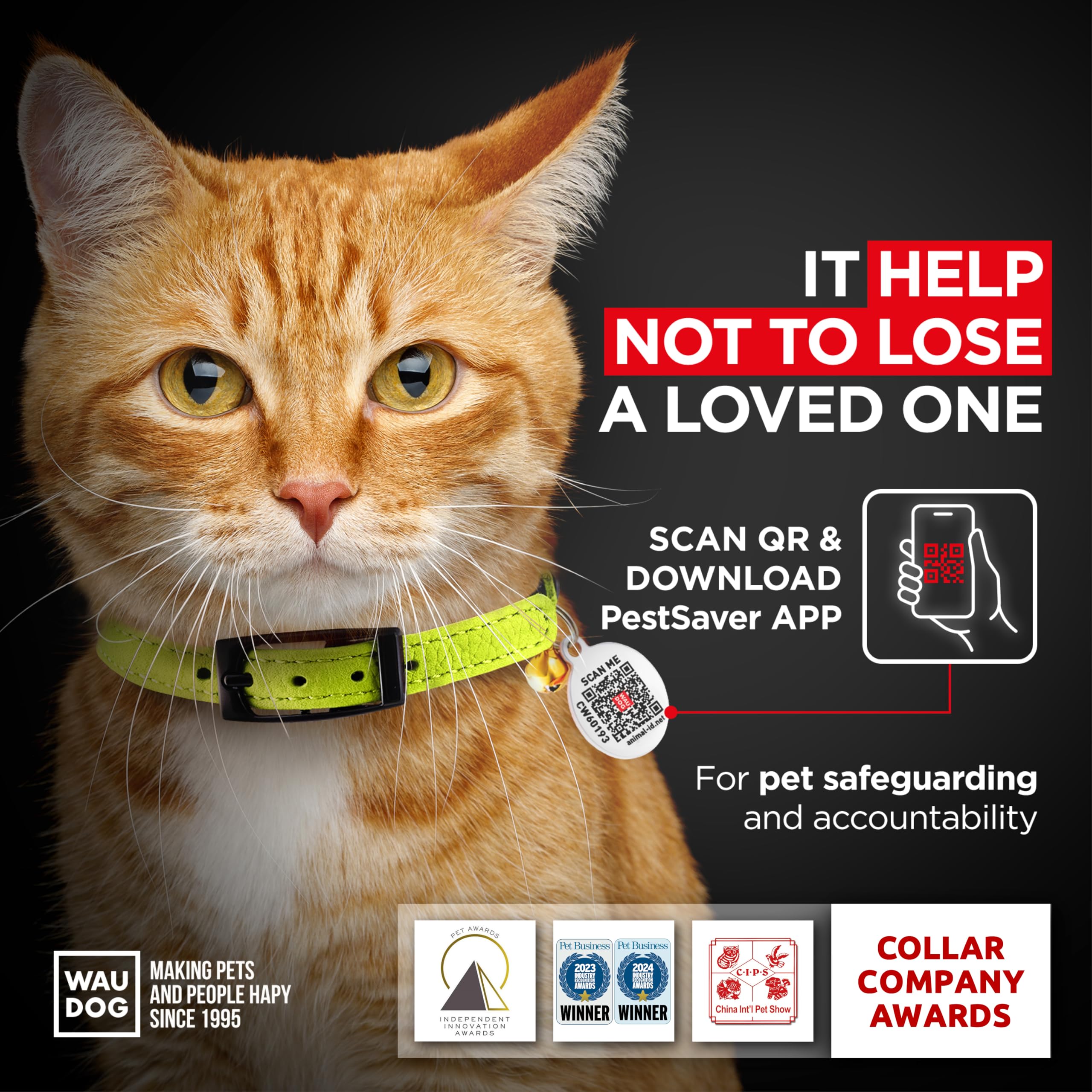 Leather Cat Collar With Bell And Safety Elastic Strap Breakaway Alternative For Small & Large Kittens, Stylish Pet Leather Colla