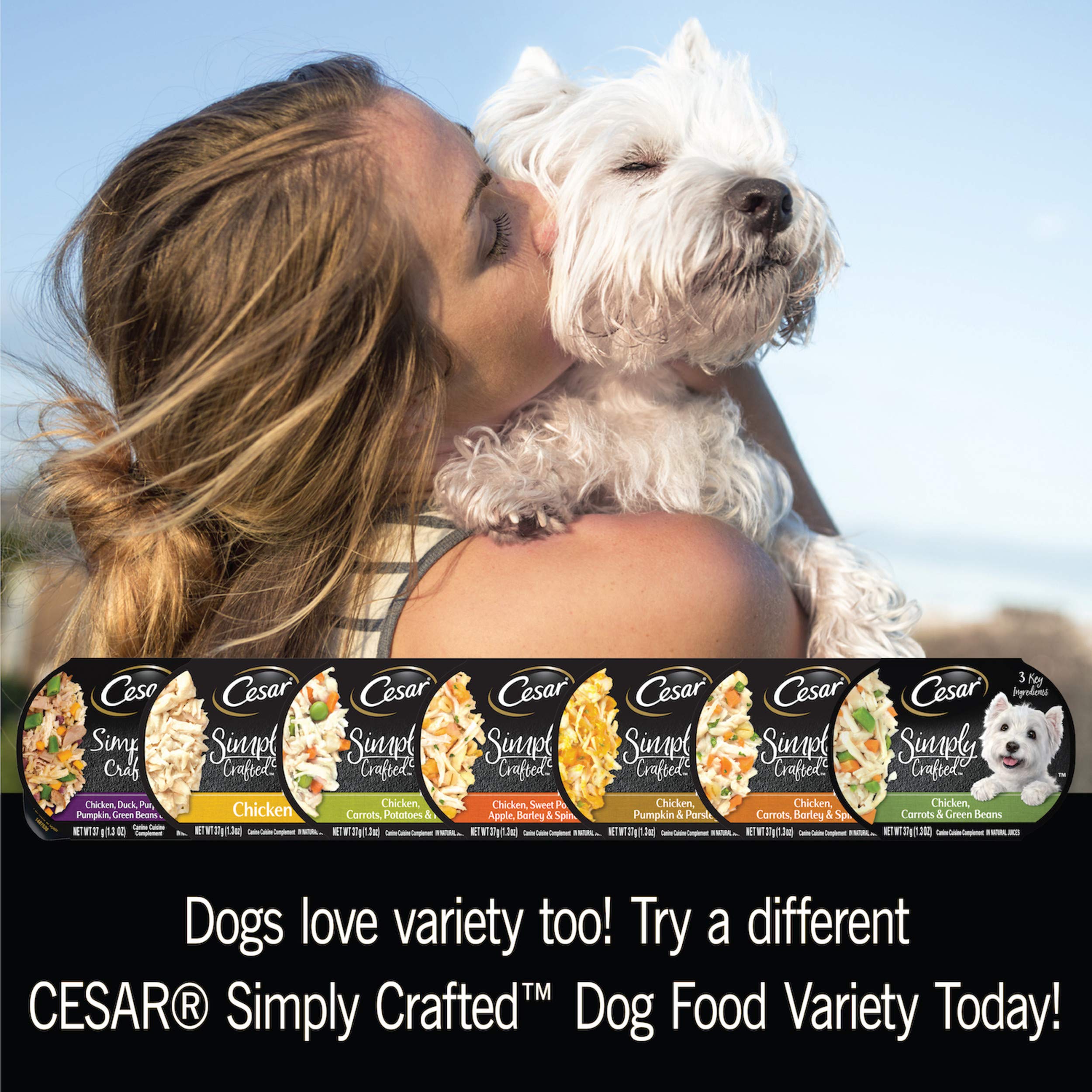 Cesar Simply Crafted Adult Wet Dog Food Meal Topper, Chicken, Duck, Purple Potatoes, Pumpkin, Green Beans & Brown Rice and Chick