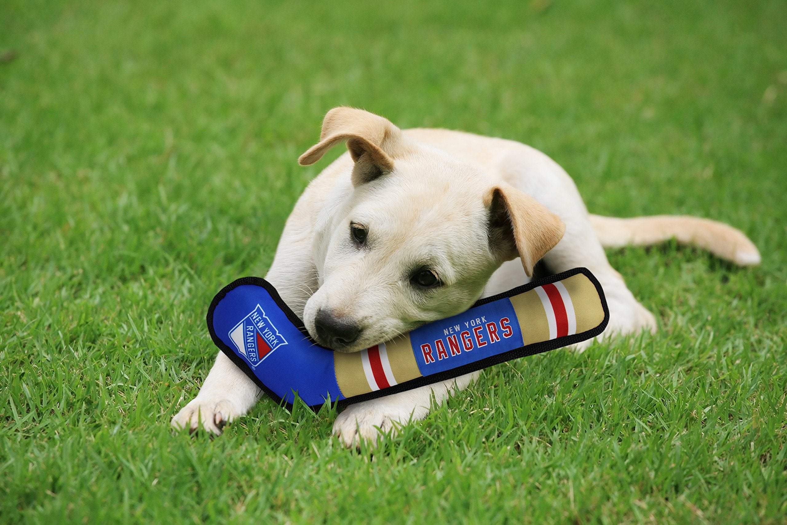 Pets First Nhl New York Rangers Stick Toy For Dogs & Cats. Play Hockey With Your Pet With This Licensed Dog Tough Toy Reward!, 1