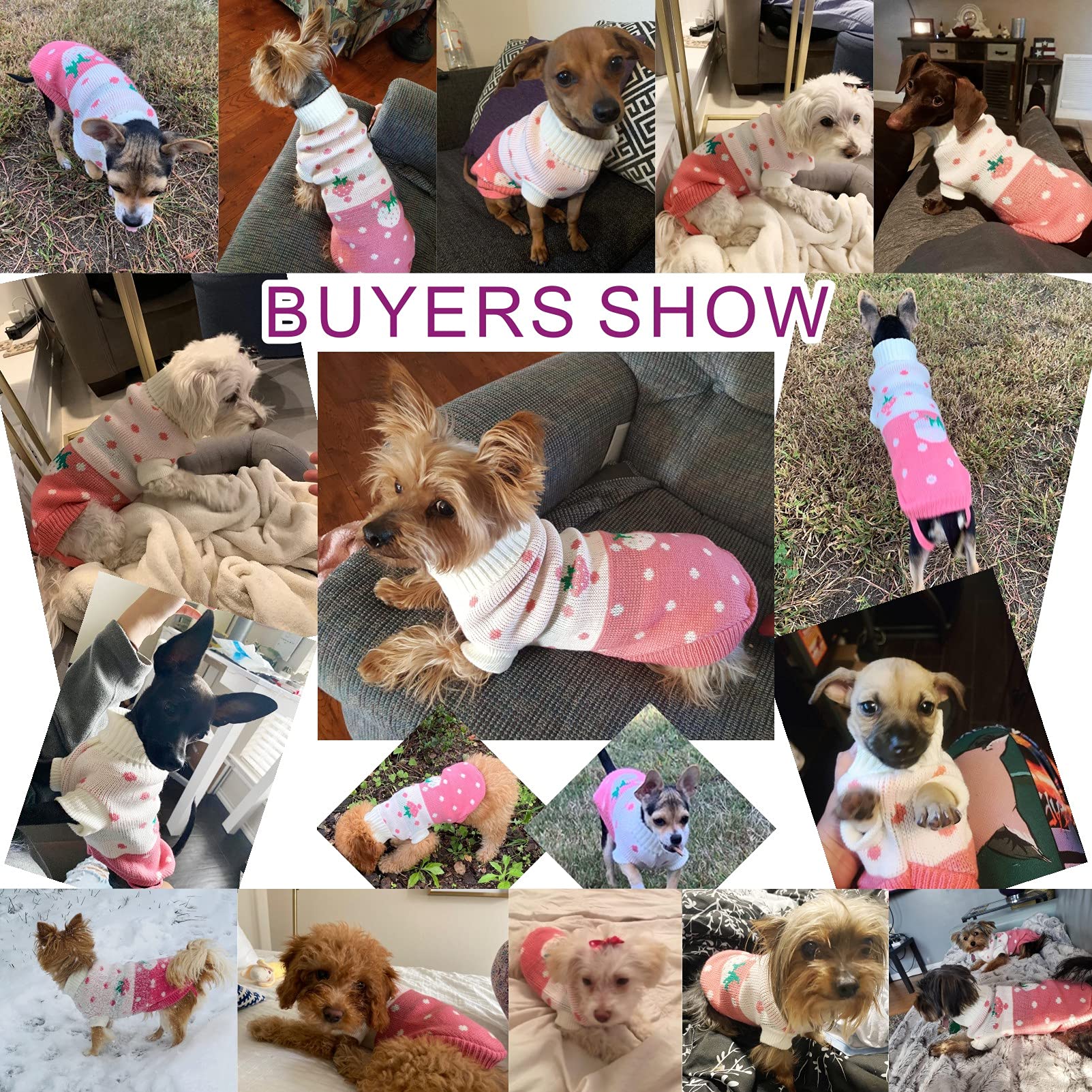 Chborchicen Pet Dog Sweaters Classic Knitwear Turtleneck Winter Warm Puppy Clothing Cute Strawberry And Heart Doggie Sweater (Red1, Medium)