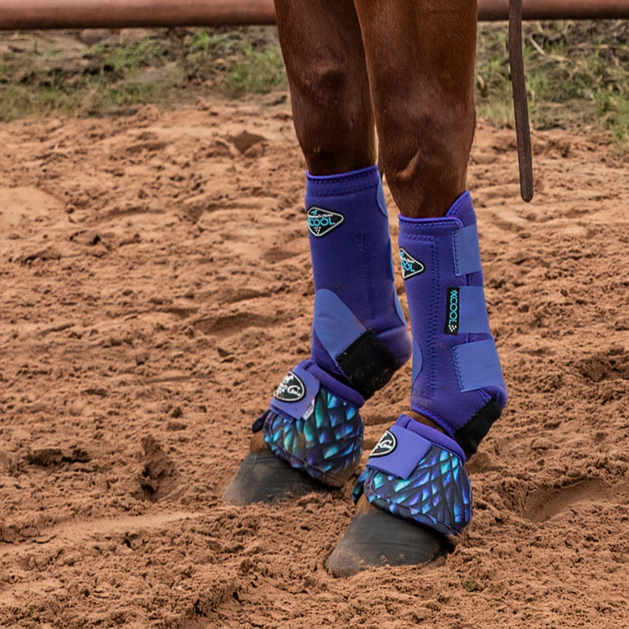Professional'S Choice 2Xcool Sports Medicine Horse Boots | Protective & Breathable Design For Ultimate Comfort, Durability & Cooling In Active Horses | 2 Pack (Purple, Medium)