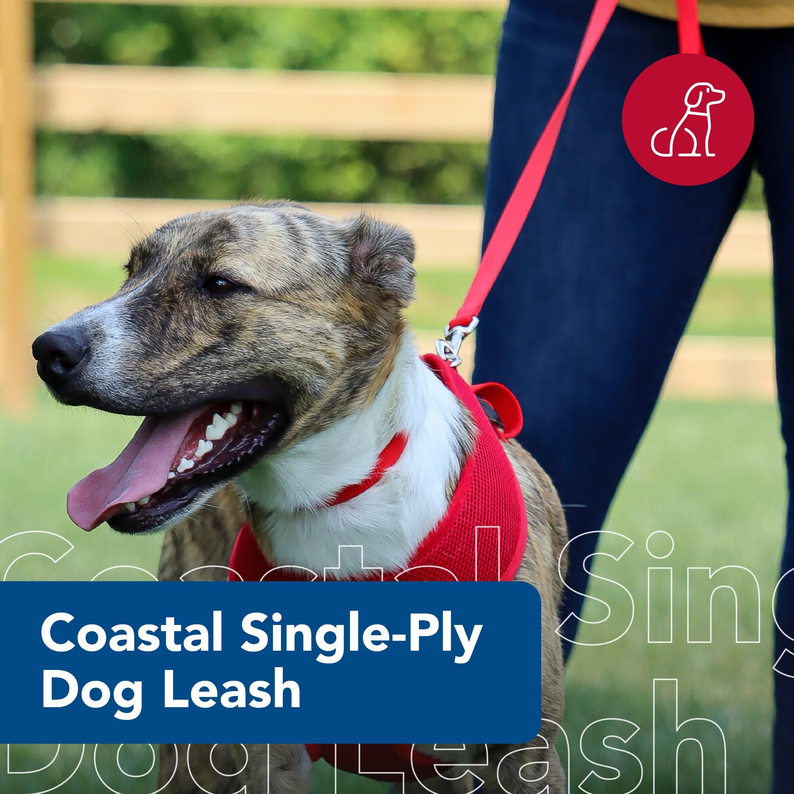 Coastal Pet Single-Ply Dog Leash - Sturdy Pet Leash - Comfortable & Stylish - Resists Fraying - Vibrant & Fade-Resistant Color - Red, 5/8' X 6'
