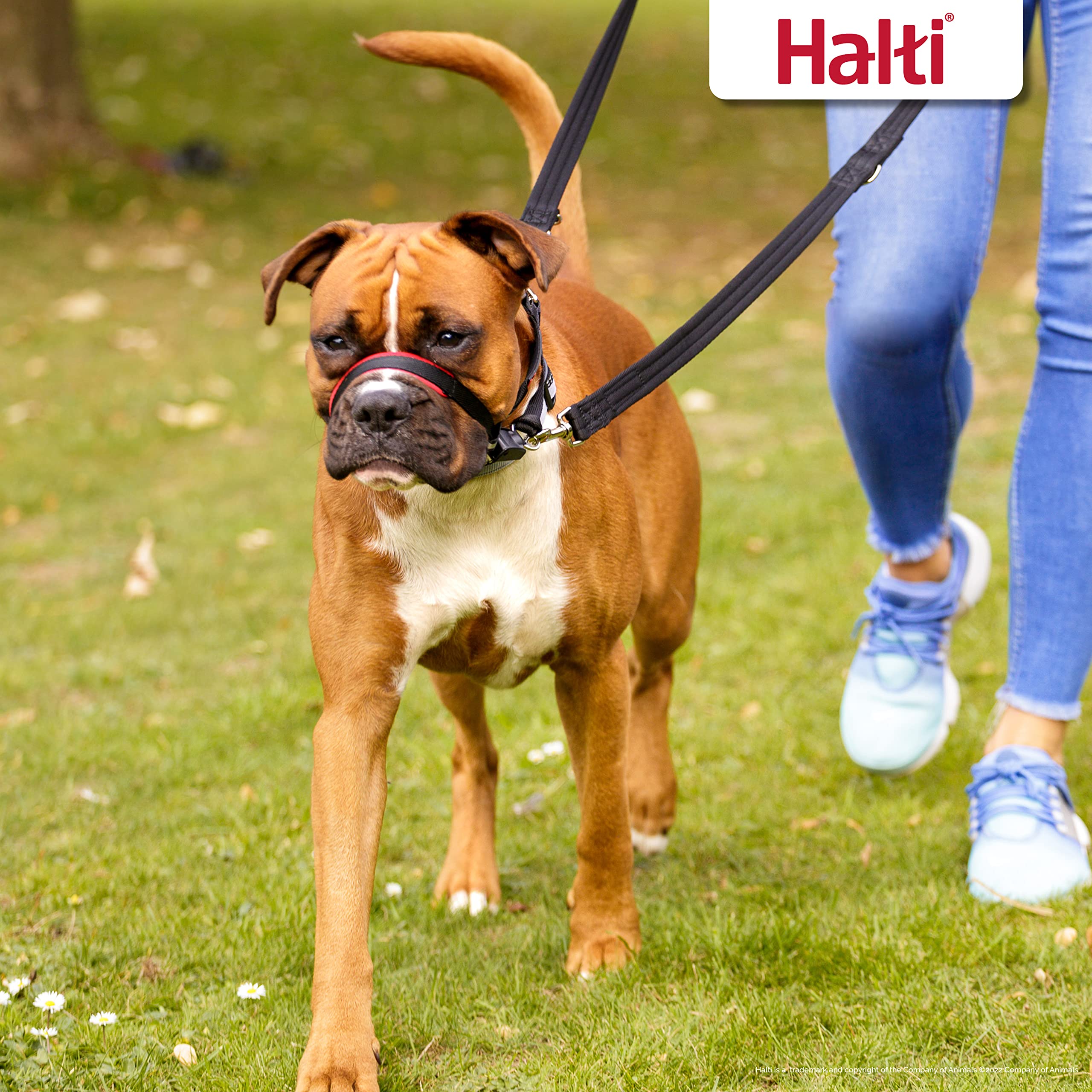 Halti Optifit Headcollar Size Medium & Halti Training Leash Size Large, Black Combination Pack - Stop Your Dog Pulling on the Le