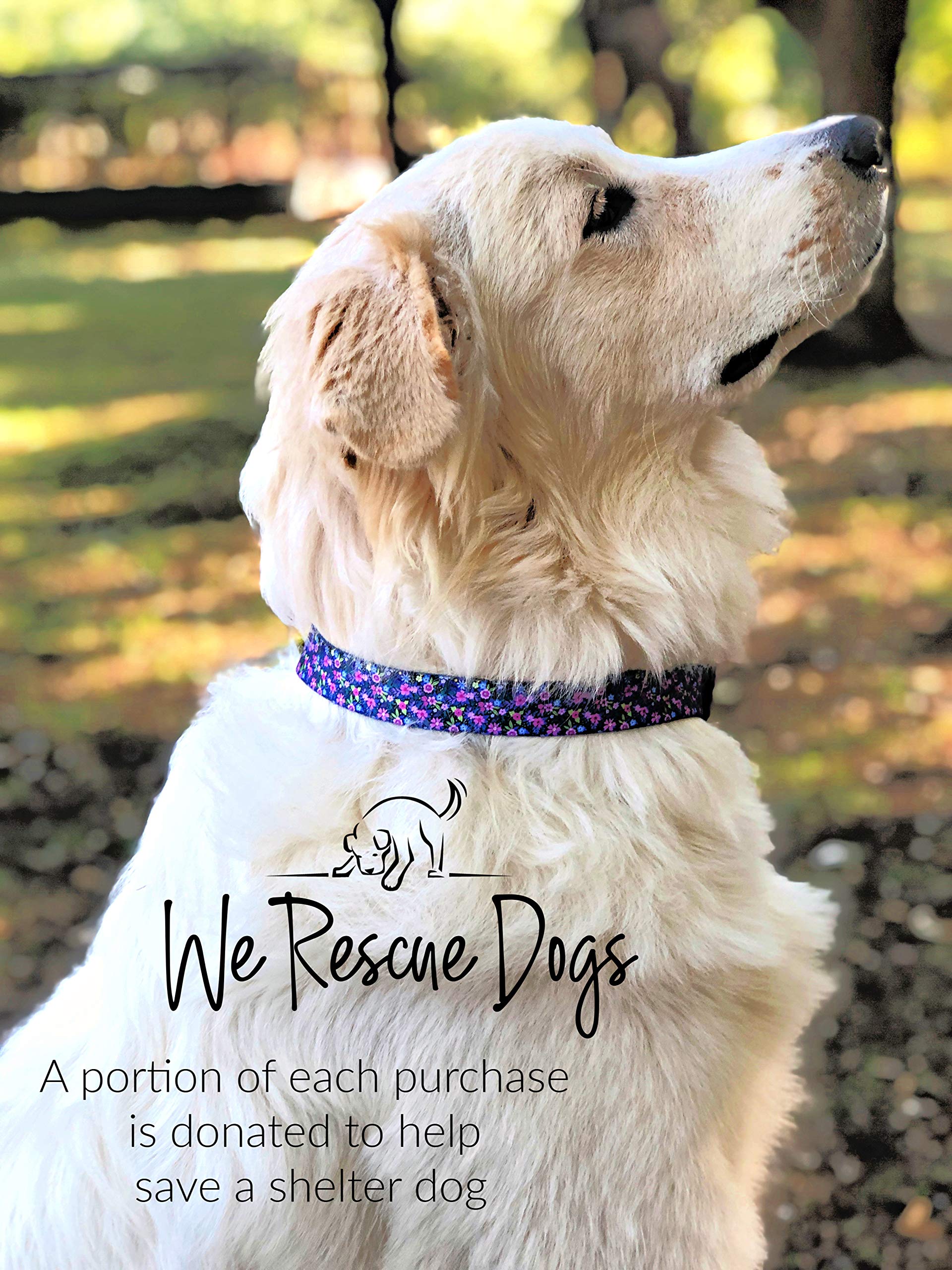 Lucky Love Dog, Comfortable, Soft, Cute Female Dog Collar For Tiny Dogs, Black & Purple Floral Print, Adjustable Nylon Collar, Primrose, Xs