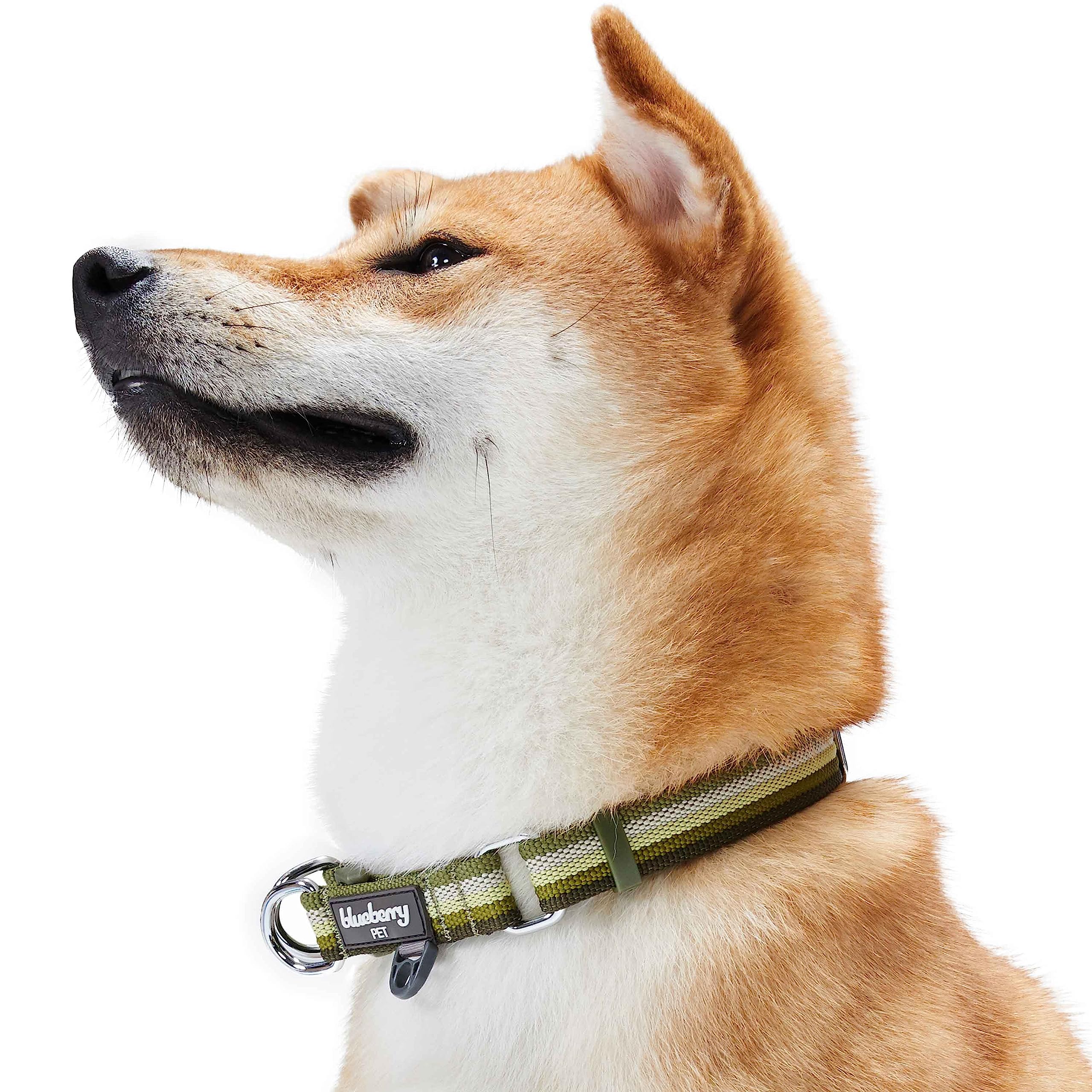 Blueberry Pet 3M Reflective Dog Collars | Adjustable Dog Collar w/Multi-Colored Stripe - Olive | Nylon Pet Collars for Dogs & Re