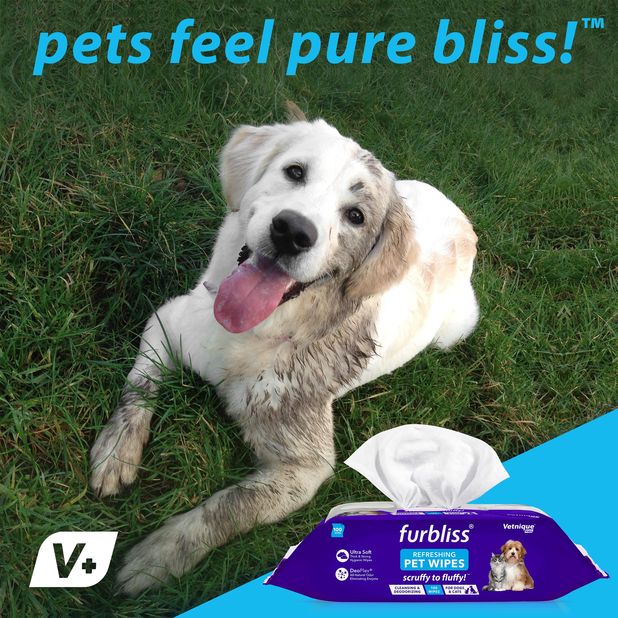 Vetnique Labs Furbliss Hygienic Pet Wipes For Dogs & Cats, Cleansing Grooming & Deodorizing Hypoallergenic Thick Wipes With All