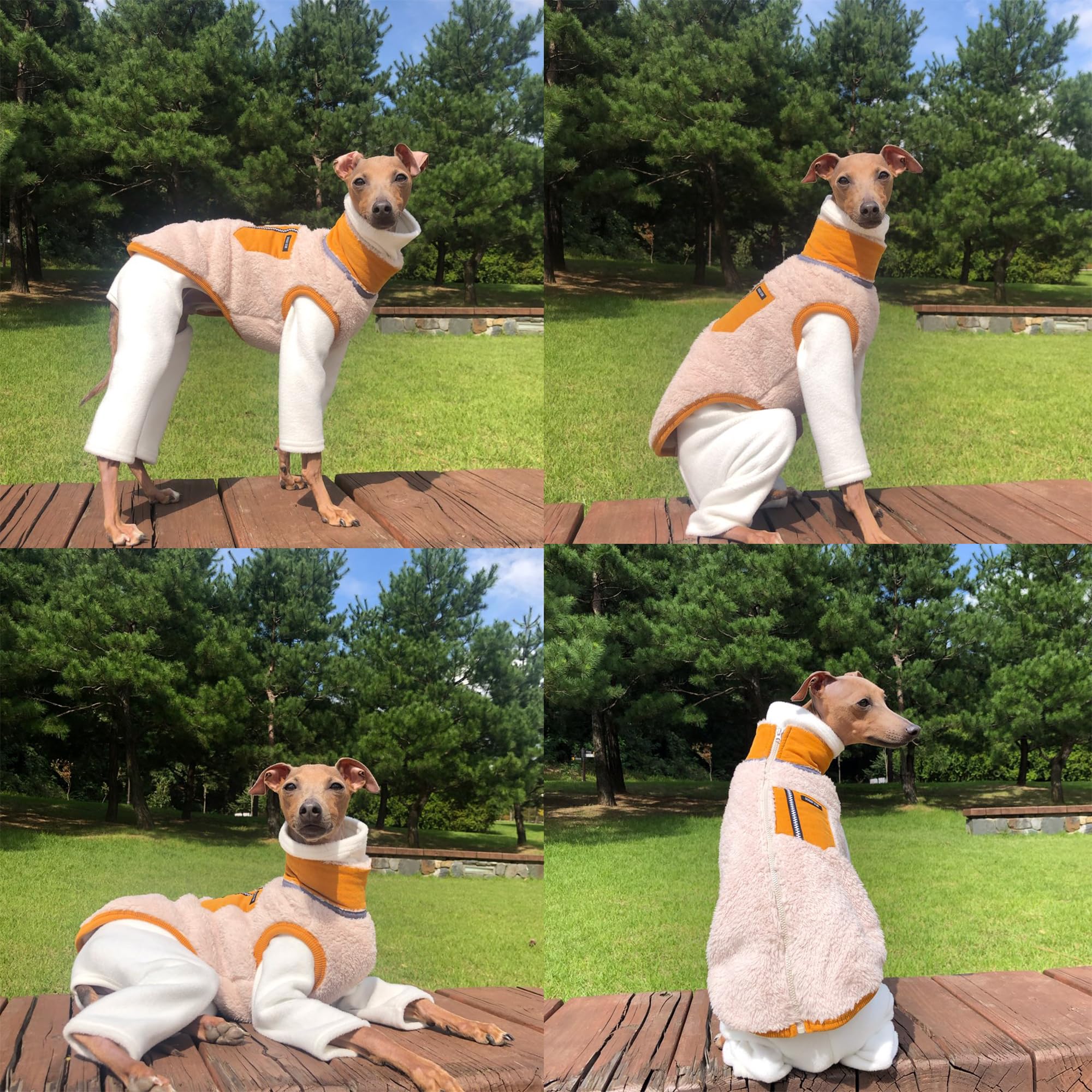 D Doggy Star Italian Greyhound Warm Fleece Zip-Up Sweater Jacket Outfit Clothes Whippet For Dog Coat (L,Zipup Mustard)