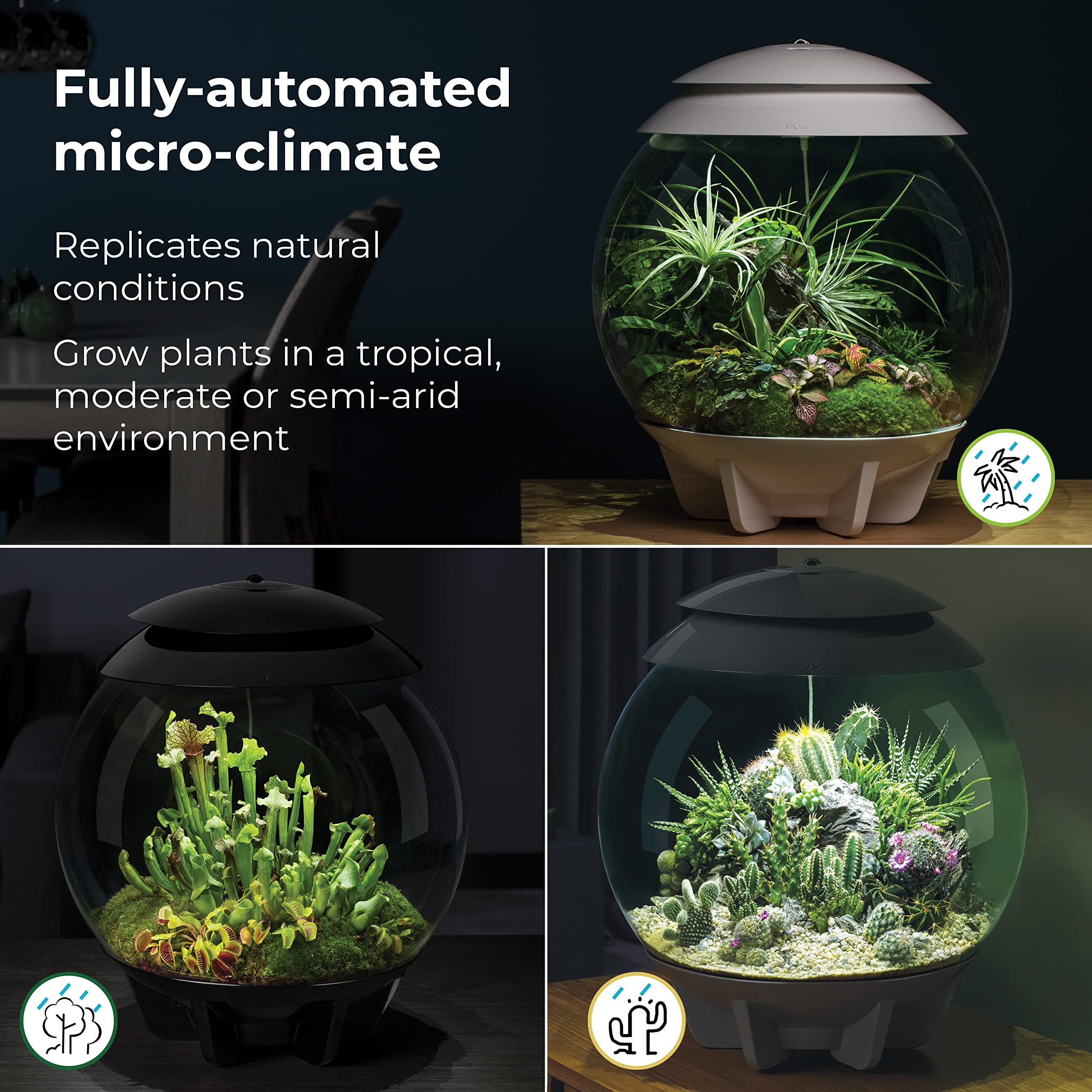 biOrb AIR 30 Terrarium - Fully Automated for Arid, Temperate & Tropical Plants, Gray