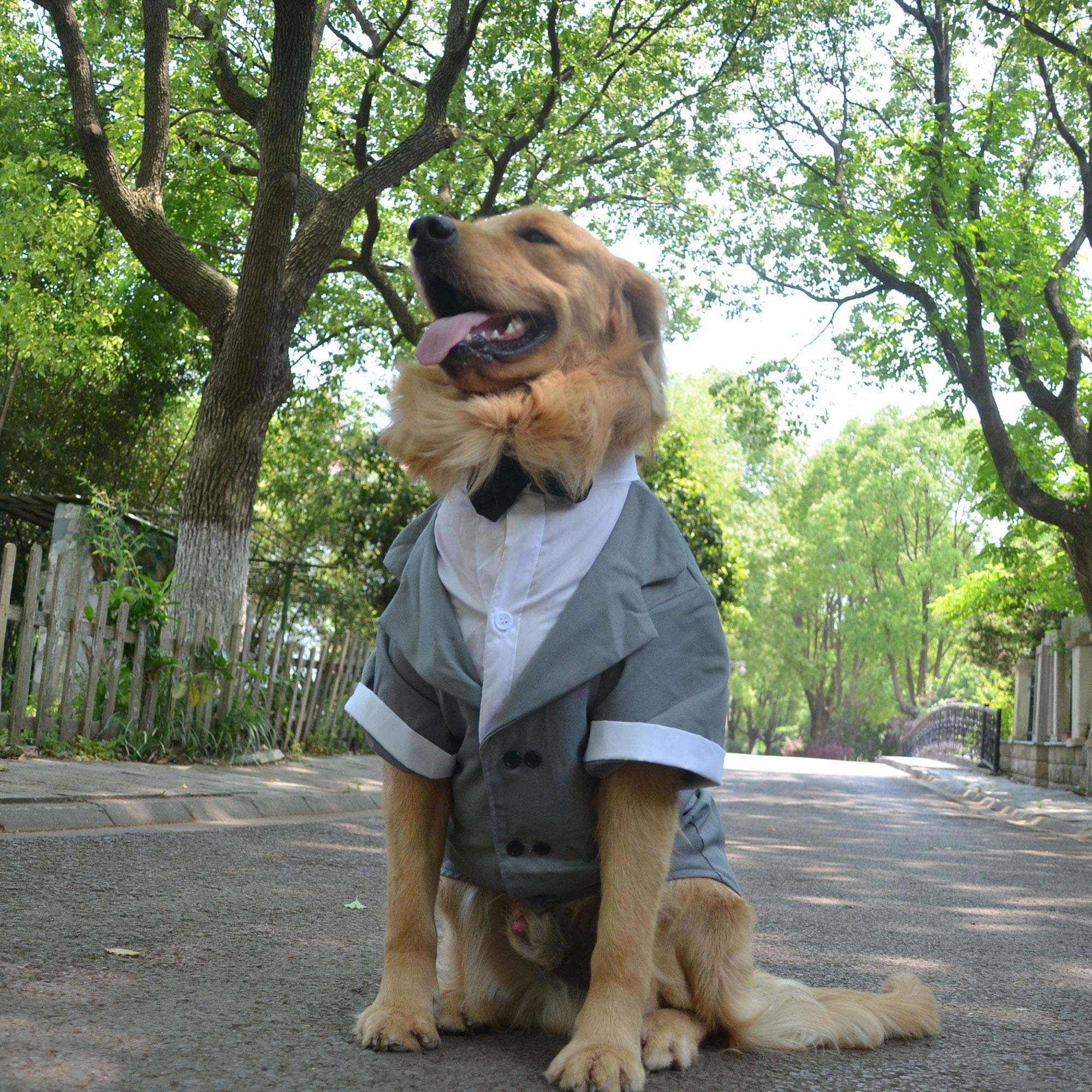 Lovelonglong Pet Costume Dog Suit Formal Tuxedo With Black Bow Tie For Medium Dogs Beagle Clothing Gray L-S