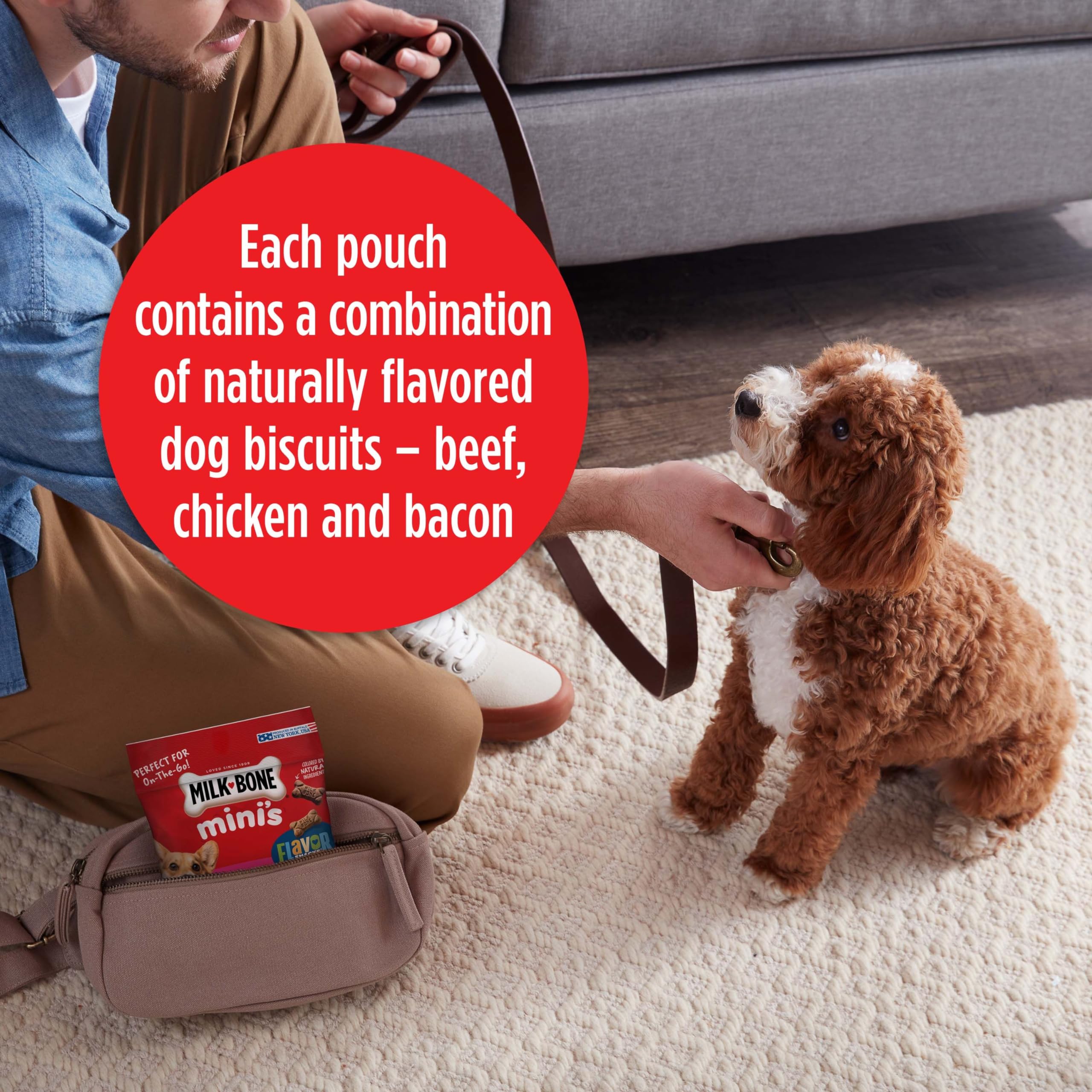 Milk-Bone Mini s Flavor Snacks Dog Treats, 2.5 Ounce (Pack of 20), Perfect for Walks, Travel Size, Party Favor