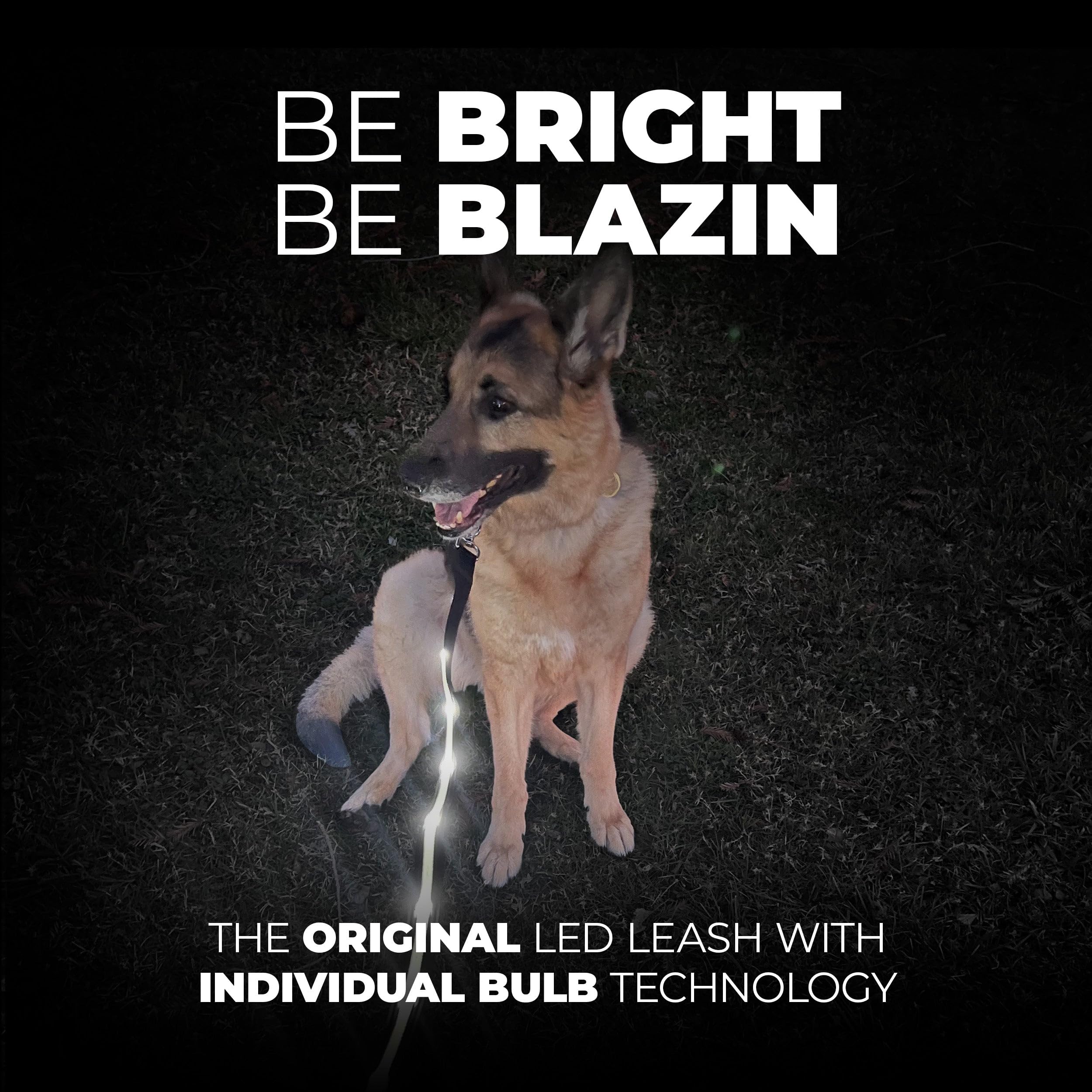 Blazin' Safety Led Dog Leash - Usb Rechargeable Flashing Light, 6 Ft, Water Resistant - Avoid Danger - Blue