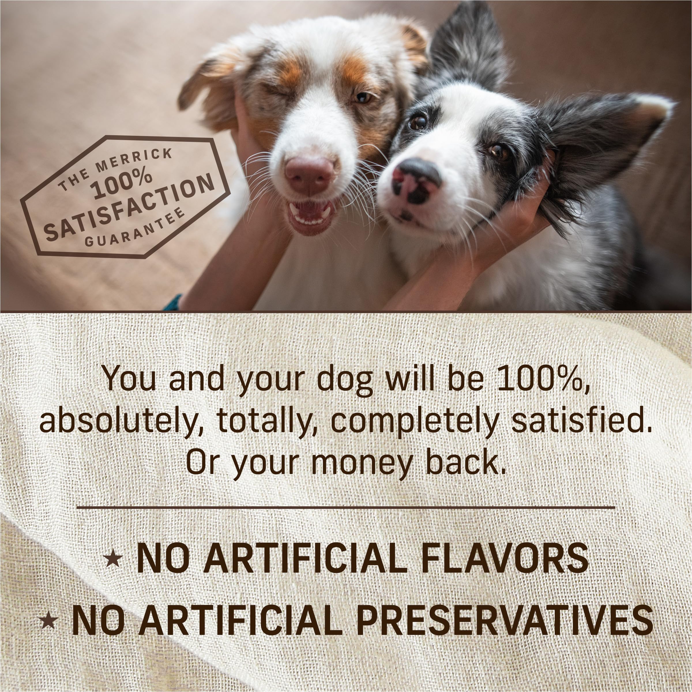 Merrick Grain Free Wet Puppy Food, Premium Soft And Gluten Free Canned Dog Food, Puppy Plate Beef Recipe - (Pack of 12) 12.7 oz.