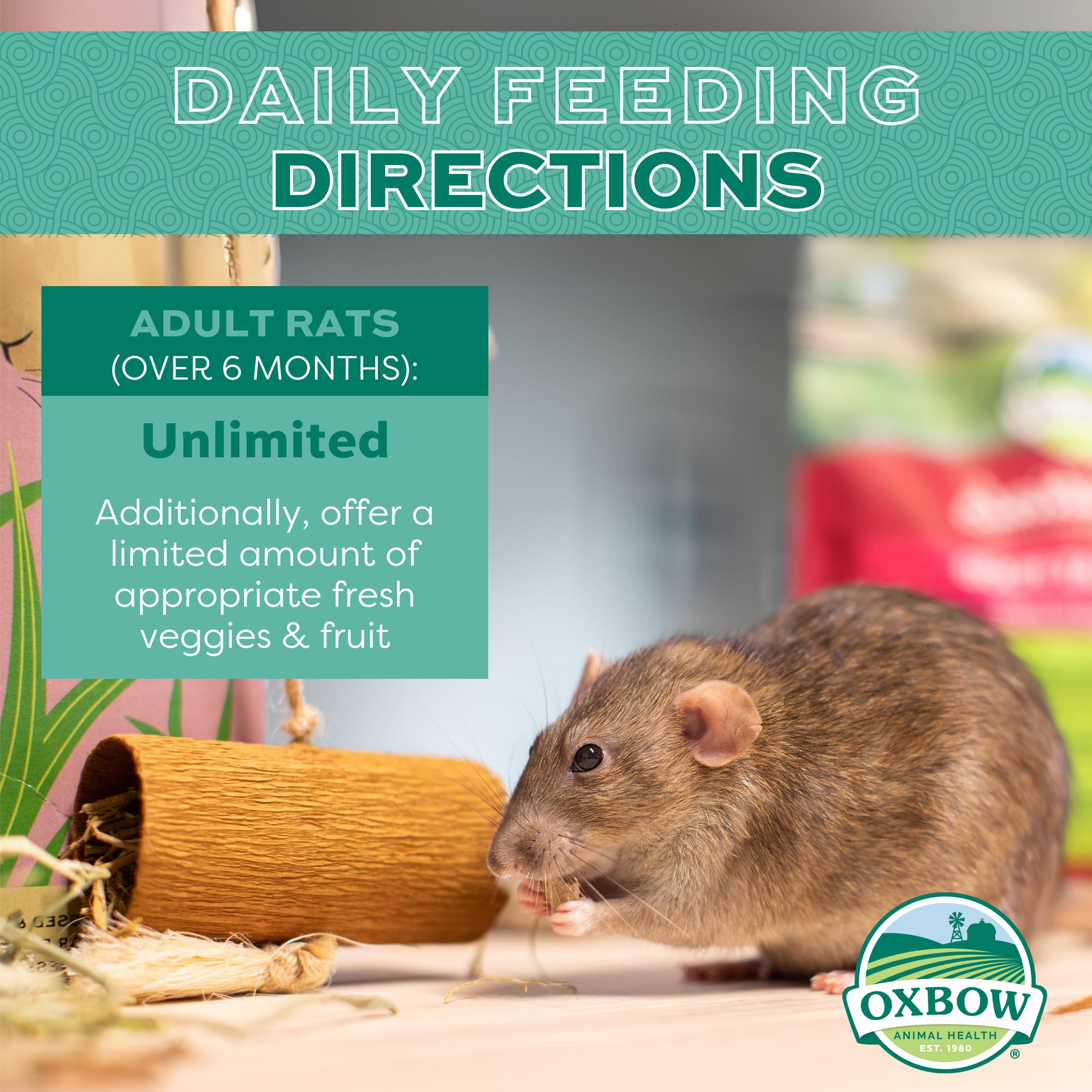 Oxbow Essentials Adult Rat Food - All Natural Adult Rat Food - Veterinarian Recommended- Made in the USA- Rich in Natural Vitami